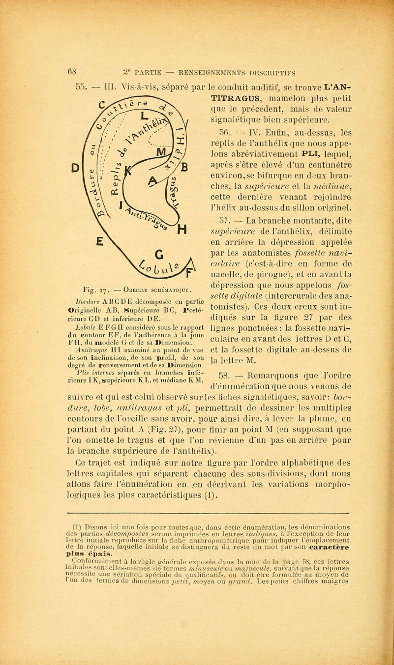 III. ig. 37, — 0 Vis-à-vis, séparé par le conduit auditif, se trouve L'AN- TITRAGUS, mamelon plus petit que le précédent, mais de valeur signalétique bien supérieure. 56. — IV. Enfin, au-dessus, les replis de l'anthélix que nous appe- lons abréviativement PLI, lequel, après s'être élevé d'un centimètre environ,se bifurque en d^ux bran- ches, la supérieure et la médiane, cette dernière venant rejoindre l'hélix au-dessus du sillon originel. 57. — La branche montante, dite supérieure de l'anthélix, délimite en arrière la dé])ression appelée par les anatomistes fossette navi- culaire (c'est-à-dire en forme de nacelle, de pirogue), et en avant la dépression que nous appelons fos- sette digitale (^intercrurale des ana- tomistes). Ces deux creux sont in- diqués sur la figure 27 par des REILLE SCHEMATIQUE. Bordure ABC DE décomposée en partie Originelle AB, Supérieure BC, Posté- rieure CD et inférieure DE. Lohule E FGH considéré sous le rapport lignes pOUCtuécS : la fOSSCtte navi- du contour EF, de l'adhérence à la joue F H, du modelé G et do sa Dimension. Anlilragus HI examiné au point de vue de son inclinaison, de son i)rofil, de son degré de renversement et de sa Dimension. Plis internes séparés en branches infé- rieure I K, supérieure K L, et médiane K M. culaire en avant des lettres D et G, et la fossette digitale au-dessus de la lettre M. 58. — Remarquons que l'ordre d'énumération que nous venons de suivre et qui est celui observé sur les fiches signalétiques, savoir: bor- dure, lobe, antitragus &i pli, permettrait de dessiner les multiples contours de l'oreille sans avoir, pour ainsi dire, à lever la plume, en partant du point A (Fig. 27), pour finir au point M (en supposant que l'on omette le tragus et que l'on revienne d'un pas en arrière pour la branche supérieure de l'anthélix). Ce trajet est indiqué sur notre figure par l'ordre alphabétique des lettres capitales qui séparent chacune des sous-divisions, dont nous allons faire l'énumération en .en décrivant les variations morpho- logiques les plus caractéristiques (1). (1) Disons ici une fois pour toutes que, dans cette énumération, les dénominations des parties décomposées seront imprimées en lettres italiques, à l'exception de leur lettre initiale reproduite sur la fiche anthropométrique pour indiquer l'emplacement de la réponse, laquelle initiale se distinguera du reste du mot par son cai'actèi-e plus épais. _ Conformément à la règle générale exposée dans la note de la page 58, ces lettres initiales sont elles-mêmes de formes rniiniseule oa ma/useule, suivant que la réponse nécessite une sériation spéciale de qualificatifs, ou doit être formulée au moyen de 1 un des termes de dimensions petit, moyen o\\ grand. Les petits chilfres maigres