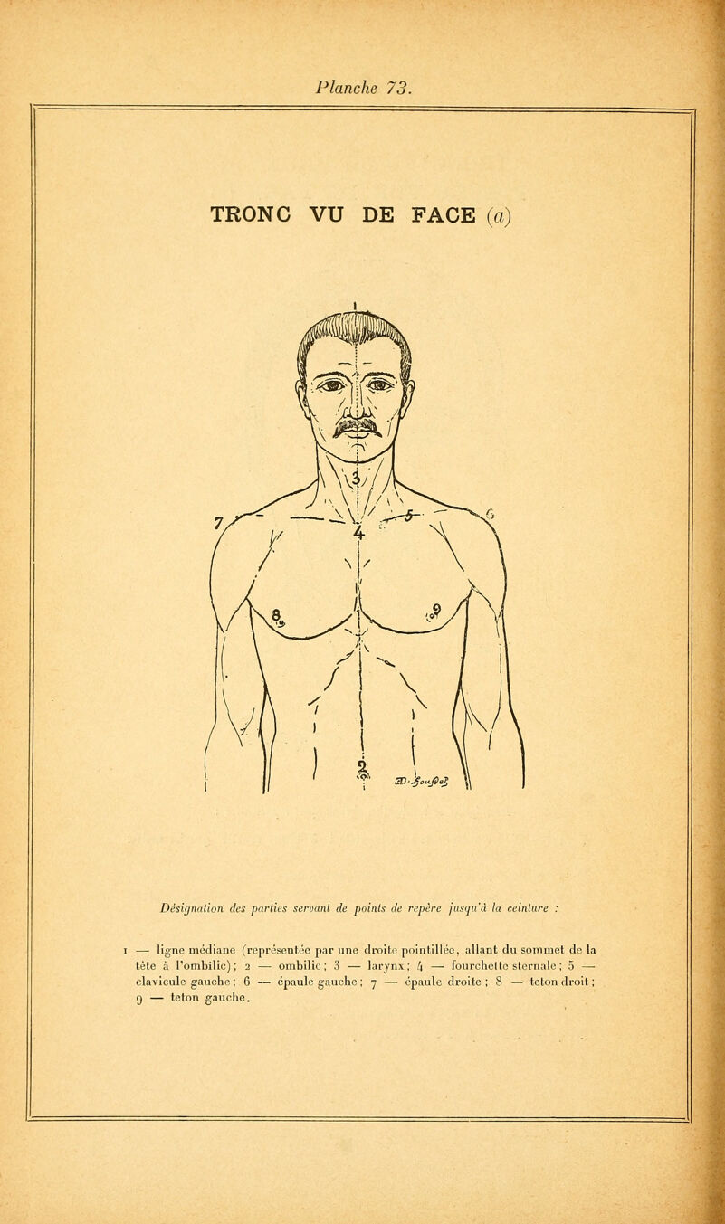 TRONC VU DE FACE (a) Désignation des parlies servant de points de repère jusqu'à la ceinture : I — ligne médiane (représentée par une droite pointlUée, allant du sommet de la tète à l'ombilic); 2 — ombilic; 3 — larynx; /| — fourcheltc sternale ; 5 — clavicule gaucho ; 6 — épaule gaucho ; 7 — épaule droite; 8 — tcton droit; 9 — teton gauche.
