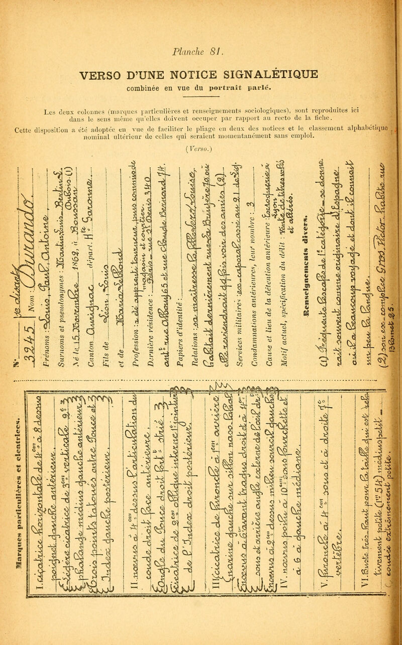 VERSO D'UNE NOTICE SIGNALÉTIQUE combinée en vue du portrait parlé. Les deux colonnes (marques particulières et renseignements sociologiques), sont reproduites ici dans le sens même qu'elles doivent occuper par rapport au recto de la ticlie. Cette disposiliou a été adoptée en vue de faciliter le pliage en deux des notices et le classemeut alphabétique , nominal ultérieur de celles qui seraient momentanément sans emploi. ( Verso.)
