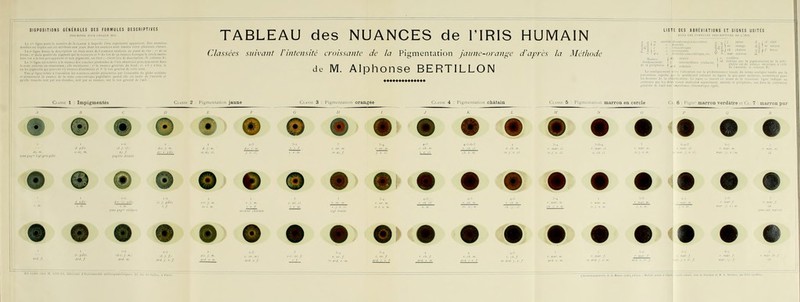 TABLEAU des NUANCES de l'IRIS HUMAIN C/c7ssccs suivant l'intensité croissante de la Pigmentation fanne-orans^e cfafrés la Méthode de. M. Alphonse BERTILLON ♦♦♦♦«»♦♦♦*♦♦♦♦ Cl *v>.i 1 : Impigmentés Ci.ASî.r 2 : Pijinuniaii'in jaune Ci.Assi: 3 : Pi^mcniaiiiin orangée : 4 : Pii^niLniininii châtain C.LAssr 5 ; Pi-mcnuii,.n marron en cercle Ci 6: verdàtre li Cl. 7 0