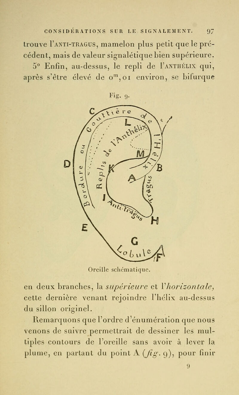 trouve I'anti-tragus, mamelon plus petit que le pré- cédent, mais de valeur signalétique bien supérieure. 5° Enfin, au-dessus, le repli de I'anthélix qui, après s'être élevé de o™,oi environ, se bifurque Fis. Q. Oreille schématique. en deux branches, la supérieure et Vhorizontale, cette dernière venant rejoindre l'hélix au-dessus du sillon originel. Pvemarquons que l'ordre d'énumération que nous venons de suivre permettrait de dessiner les mul- tiples contours de l'oreille sans avoir à lever la plume, en partant du point A {fig^ 9), pour finir 9