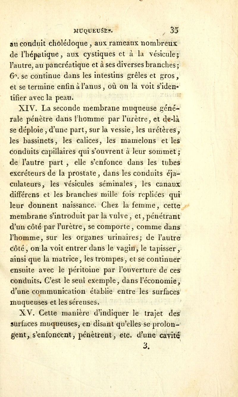 an conduit cholédoque , aux rameaux nombreux de riîépalique;, aux cystiques et à la vésicule; l'autre, au pancréatique et à ses diverses branches; 6*^. se continue dans les intestins grêles et gros, et se termine enfin à l'anus, où on la voit s'iden- tifier avec la peau. XIV. La seconde membrane muqueuse géné- rale pénètre dans l'homme par l'urètre, et dc-là se déploie, d'une part, sur la vessie, les uretères, les bassinets, les calices, les mamelons et les conduits capillaires qui s'ouvrent à leur sommet ; de l'autre part , elle s'enfonce dans les tubes excréteurs de la prostate, dans les conduits éja- culateurs, les vésicules séminales, les canaux différens et les branches mille fois repliées qui leur donnent naissance. Chez la femme, cette membrane s'introduit par la vulve, et, pénétrant d'un côté par l'urètre, se comporte, comme dans l'homme, sur les organes urinaires; de l'autre côté, on la voit entrer dans le vagin, le tapisser, ainsi que la matrice, les trompes, et se continuer ensuite avec le péritoine par l'ouverture de ces conduits. C'est le seul exemple, dans Féconomie, d'une communication établie entre les surfaces muqueuses et les séreuses. XV. Cette manière d'indiquer le trajet des surfaces muqueuses, en disant qu'elles se prolon- gent, s'enfoncent, pénètrent, etc. d'une cavité 3.