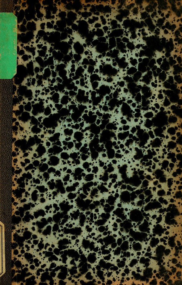 digitised image 1