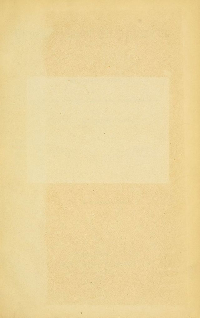 digitised image 3