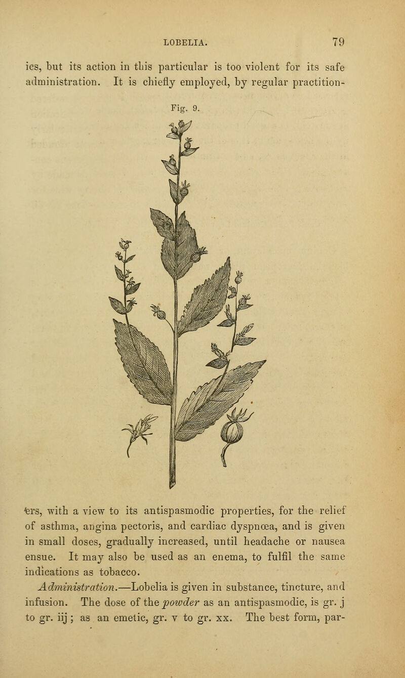 ics, but its action in tbis particular is too violent for its safe administration. It is cbiefly employed, by regular practition- Fier. 9. fers, witb a view to its antispasmodic properties, for tbe relief of asthma, angina pectoris, and cardiac dyspnoea, and is given in small doses, gradually increased, until headache or nausea ensue. It may also be used as an enema, to fulfil the same indications as tobacco. Administration.—Lobelia is given in substance, tincture, and infusion. The dose of the powder as an antispasmodic, is gr. j to gr. iij; as an emetic, gr. v to gr. xx. The best form, par-
