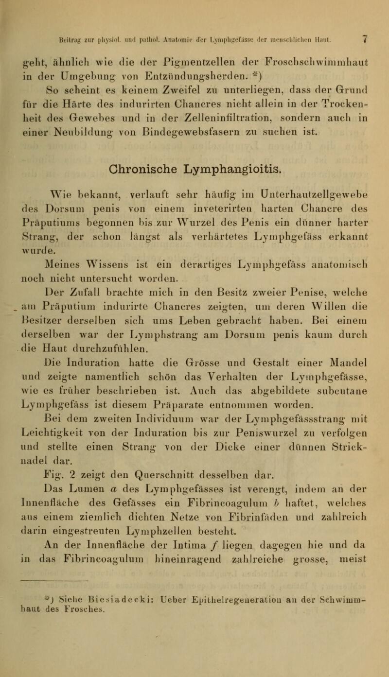 g-elit, älinlich wie die der Pigiiientzellen der Frosclischwiiiiiuliaut in der Uirigebiiiig' von Entzündungsherden. ''') So scheint es keinem Zweifel zu unterliegen, dass der Grund i'iir die Härte des indurirten Chancres nicht allein in der Trocken- heit des Gewebes und in der Zelleninfiltration, sondern auch in einer Neubildung- von Bindegewebsfasern zu suchen ist. Chronische Lymphangioitis. Wie bekannt, verlauft sehr häufig im ünterhautzellgewebe des Dorsum penis von einem inveterirten harten Chancre des Präputiums begonnen bis zur Wurzel des Penis ein dünner harter Strang, der schon längst als verhärtetes Lymphgefäss erkannt wurde. Meines Wissens ist ein derartiges Lymphgefäss anatomisch noch nicht untersucht worden. Der Zufall brachte mich in den Besitz zweier Penise, welche am Präputium indurirte Chancres zeigten, um deren Willen die Besitzer derselben sich ums Leben gebracht haben. Bei einem derselben war der Lvniphstrang am Dorsum penis kaum durch die Haut durchzufühlen. Die Induration hatte die Grösse und Gestalt einer Mandel und zeigte namentlich schön das Verhalten der Lymphgefässe, wie es früher beschrieben ist. x\uch das abgebildete subcutane Lymphgefäss ist diesem Präparate entnommen worden. Bei dem zweiten Individuum war der Lymphgefässstrang' niit Leichtigkeit von der Induration bis zur Peniswurzel zu verfolgen und stellte einen Strang von der Dicke einer dünnen Strick- nadel dar. Fig. 2 zeigt den Querschnitt desselben dar. Das Lumen a des Lymphgefässes ist verengt, indem an der Innenfläche des Gefässes ein Fibrincoagulum b haftet, welches aus einem ziemlich dichten Netze von Fibrinfäden und zahlreich darin eingestreuten Lymphzellen besteht. An der Innenfläche der Intima / liegen dagegen hie und da in das Fibrincoagulum hineinragend zahlreiche grosse, meist '') Siehe Biesiadecki: Ueber Epitlielregeueratiou au der Schwimm- haut des Frosches,