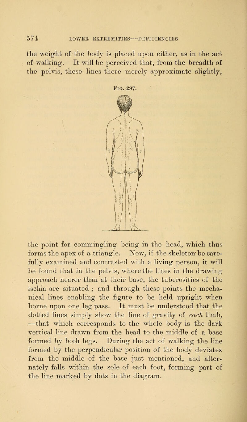 the weight of the body is placed upon either, as in the act of walking. It will be perceived that, from the breadth of the pelvis, these lines there merely approximate slightly, the point for commingling being in the head, which thus forms the apex of a triangle. Now, if the skeleton be care- fully examined and contrasted with a living person, it will be found that in the pelvis, where the lines in the drawing approach nearer than at their base, the tuberosities of the ischia are situated ; and through these points the mecha- nical lines enabling the figure to be held upright when borue upon one leg pass. It must be understood that the dotted lines simply show the line of gravity of each limb, ■—that which corresponds to the whole body is the dark vertical line drawn from the head to the middle of a base formed by both legs. During the act of walking the line formed by the perpendicular position of the body deviates from the middle of the base just mentioned, and alter- nately falls within the sole of each foot, forming part of the line marked bv dots in the diagram.