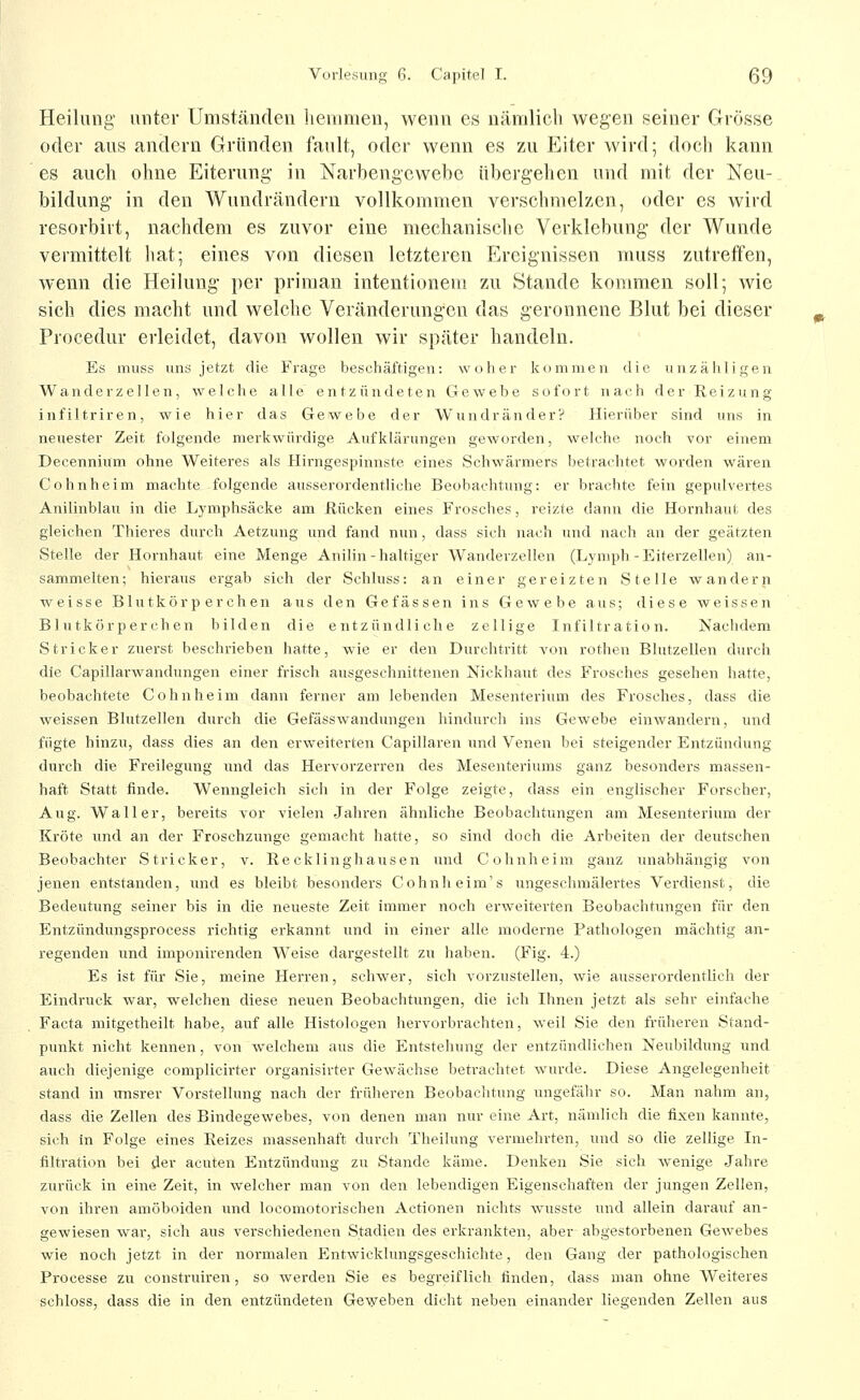 Heilung' unter Umständen lienimeu, wenn es nämlich wegen seiner Grösse oder aus andern Gründen fault, oder wenn es zu P]iter wird; doch kann es auch ohne Eiterung- in Narbengewebe übergehen und mit der Neu- bildung in den Wundrändern vollkommen verschmelzen, oder es wird resorbirt, nachdem es zuvor eine mechanische Verklebung der Wunde vermittelt hat; eines von diesen letzteren Ereignissen muss zutreffen, wenn die Heilung per priman intentionem zu Stande kommen soll; wie sich dies macht und welche Veränderungen das geronnene Blut bei dieser Procedur erleidet, davon wollen wir später handeln. Es muss uns jetzt die Frage beschäftigen: woiier kommen die unzähligen Wander Zellen, welche alle entzündeten Gewebe sofort nach der Reizung infiltriren, wie hier das Gewebe der Wundränder? Hierüber sind uns in neuester Zeit folgende merkwürdige Aufklärungen geworden, welche noch vor einem Decennium ohne Weiteres als Hirngespinnste eines Schwärmers betrachtet worden wären Cohnheim machte folgende ausserordentliche Beobachtung: er brachte fein gepulvertes Anilinblau in die Lymphsäcke am Hucken eines Frosches, reizte dann die Hornhaut des gleichen Thieres durch Aetzung und fand nun, dass sich nach und nach an der geätzten Stelle der Hornhaut eine Menge Anilin - haltiger Wanderzellen (Lymph - Eiterzellen) an- sammelten; hieraus ergab sich der Schluss: an einer gereizten Stelle wandern weisse Blutkörperchen aus den Gefassen ins Gewebe aus; diese weissen Blutkörperchen bilden die entzündliche zellige Infiltration. Nachdem Stricker zuerst beschrieben hatte, wie er den Durchtritt von rothen Blutzellen durch die Capillarwandungen einer frisch ausgeschnittenen Nickhaut des Frosches gesehen hatte, beobachtete Cohnheim dann ferner am lebenden Mesenterium des Frosches, dass die weissen Blutzellen durch die Gefässwandungen hindurch ins Gewebe einwandern, und fügte hinzu, dass dies an den erweiterten Capillaren und Venen bei steigender Entzündung durch die Freilegung und das Hei'vorzerren des Mesenteriums ganz besonders massen- haft Statt finde. Wenngleich sich in der Folge zeigte, dass ein englischer Forscher-, Aug. Waller, bereits vor vielen Jahren ähnliche Beobachtungen am Mesenterium der Kröte und an der Froschzunge gemacht hatte, so sind doch die Arbeiten der deutschen Beobachter Stricker, v. Recklinghausen und Cohnheim ganz unabhängig von jenen entstanden, und es bleibt besonders Cohnheim's ungeschmälertes Verdienst, die Bedeutung seiner bis in die neueste Zeit immer noch erweiterten Beobachtungen für den Entzündungsprocess richtig erkannt und in einer alle moderne Pathologen mächtig an- regenden und imponirenden Weise dargestellt zu haben. (Fig. 4.) Es ist für Sie, meine Herren, schwer, sich vorzustellen, wie ausserordentlich der Eindruck war, welchen diese neuen Beobachtungen, die ich Ihnen jetzt als sehr einfache Facta mitgetheilt habe, auf alle Histologen hervorbrachten, weil Sie den früheren Stand- punkt nicht kennen, von welchem aus die Entstehung der entzündlichen Neubildung und auch diejenige complicirter organisirter Gewächse betrachtet wurde. Diese Angelegenheit stand in rmsrer Vorstellung nach der früheren Beobachtung ungefähr so. Man nahm an, dass die Zellen des Bindegewebes, von denen man nur eine Art, nämlich die fixen kannte, sich in Folge eines Reizes massenhaft durch Theilung vermehrten, und so die zellige In- filtration bei der acuten Entzündung zu Stande käme. Denken Sie sich Avenige Jahre zurück in eine Zeit, in welcher man von den lebendigen Eigenschaften der jungen Zellen, von ihren amöboiden und locomotorischen Actionen nichts wusste und allein darauf an- gewiesen war, sich aus verschiedenen Stadien des erkrankten, aber abgestorbenen Gewebes wie noch jetzt in der normalen Entwicklungsgeschichte, den Gang der pathologischen Processe zu construiren, so werden Sie es begreiflich finden, dass man ohne Weiteres schloss, dass die in den entzündeten Geweben dicht neben einander liegenden Zellen aus