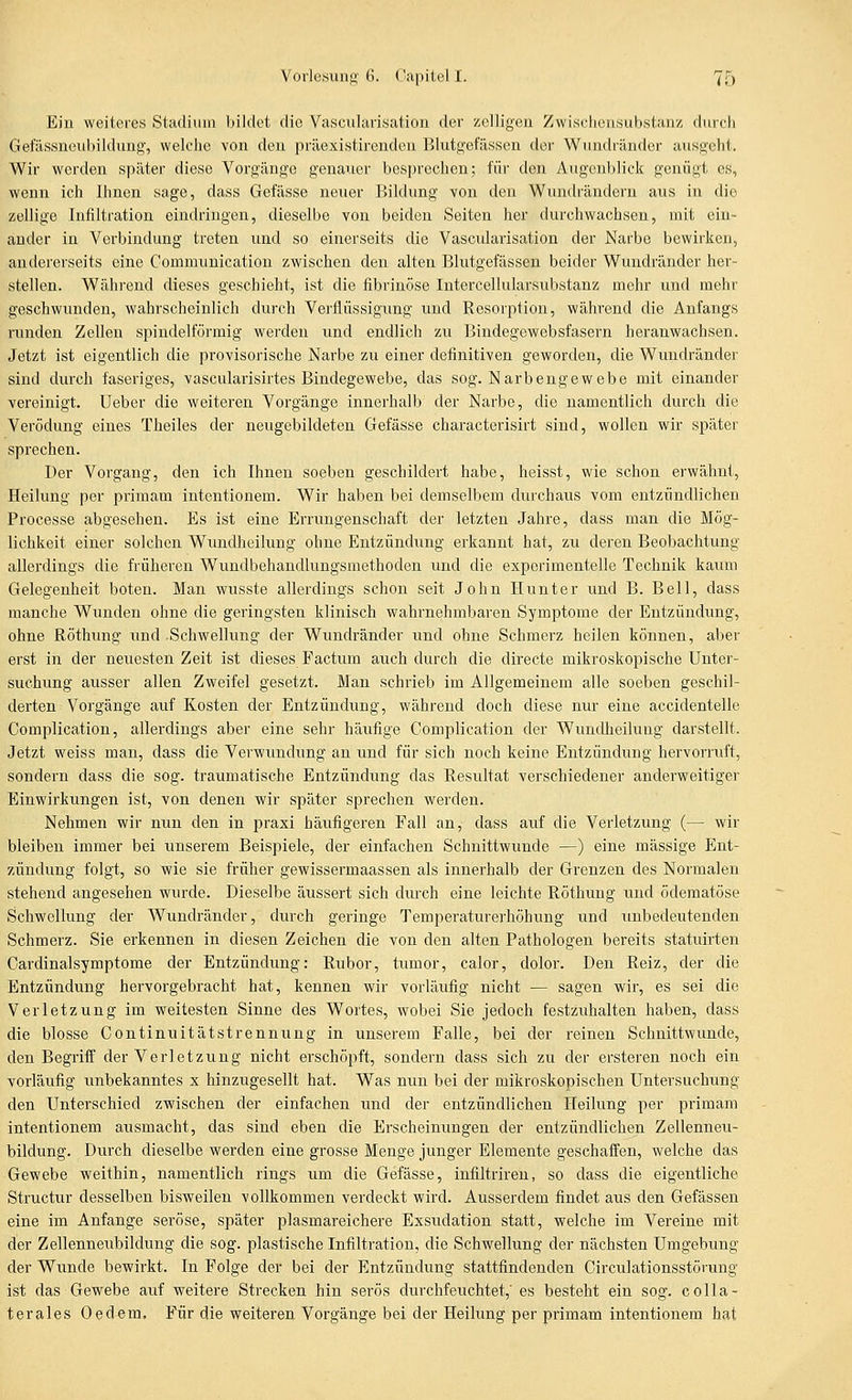 Ein weiteres Stadium bildet die Vascrilarisation der zelligen Zwischensubstanz durch Gefässneiihildung', welche von den präexistirenden Blutgefässen der Wundränder ausgeht. Wir werden später diese Vorgänge genauer besprechen; für den Augenblick genügt es, wenn ich Ihnen sage, dass Gefässe neuer Bildung von den Wundrändern aus in die zellige Infiltration eindringen, dieselbe von beiden Seiten her durchwachsen, mit ein- ander in Verbindung treten und so einerseits die Vascularisation der Narbe bewirken, andererseits eine Communication zwischen den alten Blutgefässen beider Wundränder her- stellen. Während dieses geschieht, ist die fibrinöse Intercellularsubstanz mehr und mehr geschwunden, wahrscheinlich durch Verflüssigung und Resorption, während die Anfangs runden Zellen spindelförmig werden und endlich zu Bindegewebsfasern heranwachsen. Jetzt ist eigentlich die provisorische Narbe zu einer definitiven geworden, die Wuudränder sind durch faseriges, vascularisirtes Bindegewebe, das sog. Narbengewebe mit einander vereinigt, lieber die weiteren Vorgänge innerhalb der Narbe, die namentlich durch die Verödung eines Theiles der neugebildeten Gefässe characterisirt sind, wollen wir später sprechen. Der Vorgang, den ich Ihnen soeben geschildert habe, heisst, wie schon erwähnt, Heilung per primam intentionem. Wir haben bei demselbem durchaus vom entzündlichen Processe abgesehen. Es ist eine Errungenschaft der letzten Jahre, dass man die Mög- lichkeit einer solchen Wundheilung ohne Entzündung erkannt hat, zu deren Beobachtung allerdings die früheren Wundbehandlungsmethoden und die experimentelle Technik kaum Gelegenheit boten. Man wusste allerdings schon seit John Hunter und B. Bell, dass manche Wunden ohne die geringsten klinisch wahrnehmbaren Symptome der Entzündung, ohne Röthung und Schwellung der Wundränder und ohne Schmerz heilen können, aber erst in der neuesten Zeit ist dieses Factum auch durch die directe mikroskopische Unter- suchung ausser allen Zweifel gesetzt. Man schrieb im Allgemeinem alle soeben geschil- derten Vorgänge auf Kosten der Entzündung, während doch diese nur eine accidentelle Complication, allerdings aber eine sehr häufige Complication der Wundheilung darstellt. Jetzt weiss man, dass die Verwundung an und für sich noch keine Entzündung hervorruft, sondern dass die sog. traumatische Entzündung das Resultat verschiedener anderweitiger Einwirkungen ist, von denen wir später sprechen werden. Nehmen wir nun den in praxi häufigeren Fall an, dass auf die Verletzung (— wir bleiben immer bei unserem Beispiele, der einfachen Schnittwunde —) eine massige Ent- zündung folgt, so wie sie früher gewissermaassen als innerhalb der Grenzen des Normalen stehend angesehen wurde. Dieselbe äussert sich dm-ch eine leichte Röthung und ödematöse Schwellung der Wundränder, durch geringe Temperaturerhöhung und unbedeutenden Schmerz. Sie erkennen in diesen Zeichen die von den alten Pathologen bereits statuirten Cardinalsymptome der Entzündung: Rubor, tumor, calor, dolor. Den Reiz, der die Entzündung hervorgebracht hat, kennen wir vorläufig nicht — sagen wir, es sei die Verletzung im weitesten Sinne des Wortes, wobei Sie jedoch festzuhalten haben\, dass die blosse Continuitätstrennung in unserem Falle, bei der reinen Schnittwunde, den Begriff der Verletzung nicht erschöpft, sondern dass sich zu der ersteren noch ein vorläufig unbekanntes x hinzugesellt hat. Was nun bei der mikroskopischen Untersuchung den Unterschied zwischen der einfachen und der entzündlichen Heilung per primam intentionem ausmacht, das sind eben die Erscheinungen der entzündlichen Zellenneu- bildung. Durch dieselbe werden eine grosse Menge junger Elemente geschaffen, welche das Gewebe weithin, namentlich rings um die Gefässe, infiltrireu, so dass die eigentliche Structur desselben bisweilen vollkommen verdeckt wird. Ausserdem findet aus den Gefässen eine im Anfange seröse, später plasmareichere Exsudation statt, welche im Vereine mit der Zellenneubildung die sog. plastische Infiltration, die Schwellung der nächsten Umgebung der Wunde bewirkt. In Folge der bei der Entzündung stattfindenden Circulationsstörung ist das Gewebe auf weitere Strecken hin serös durchfeuchtet,' es besteht ein sog. colla- terales Oedem. Für die weiteren Vorgänge bei der Heilung per primam intentionem hat