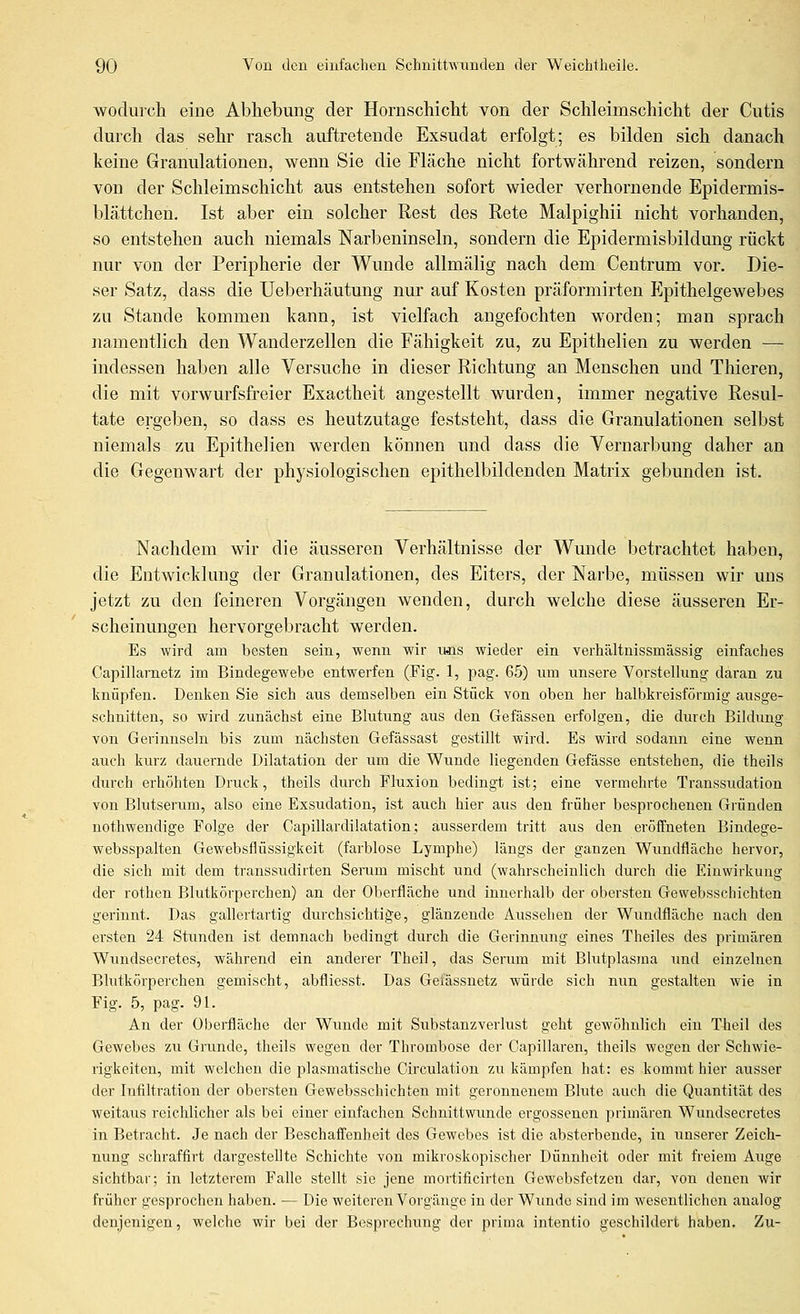 wodurch eine Abhebung der Hornschicht von der Schleimschicht der Cutis durch das sehr rasch auftretende Exsudat erfolgt; es bilden sich danach keine Granulationen, wenn Sie die Fläche nicht fortwährend reizen, sondern von der Schleimschicht aus entstehen sofort wieder verhornende Epidermis- blättchen. Ist aber ein solcher Rest des Rete Malpighii nicht vorhanden, so entstehen auch niemals Narbeninseln, sondern die Epidermisbildung rückt nur von der Peripherie der Wunde allmälig nach dem Centrum vor. Die- ser Satz, dass die Ueberhäutung nur auf Kosten präformirten Epithelgewebes zu Stande kommen kann, ist vielfach angefochten worden; man sprach namentlich den Wanderzellen die Fähigkeit zu, zu Epithelien zu werden — indessen haben alle Versuche in dieser Richtung an Menschen und Thieren, die mit vorwurfsfreier Exactheit angestellt wurden, immer negative Resul- tate ergeben, so dass es heutzutage feststeht, dass die Granulationen selbst niemals zu Epithelien werden können und dass die Vernarbung daher an die Gegenwart der physiologischen epithelbildenden Matrix gebunden ist. . Nachdem wir die äiisseren Verhältnisse der Wunde betrachtet haben, die Entwicklung der Granulationen, des Eiters, der Narbe, müssen wir uns jetzt zu den feineren Vorgängen wenden, durch welche diese äusseren Er- scheinungen hervorgebracht werden. Es wird am besten sein, wenn wir ims wieder ein verhältnissmässig einfaches Capillarnetz im Bindegewebe entwerfen (Fig. 1, pag. 65) um unsere Vorstellung daran zu knüpfen. Denken Sie sich aus demselben ein Stück von oben her halbkreisförmig ausge- schnitten, so wird zunächst eine Blutung aus den Gefässen erfolgen, die durch Bildung von Gerinnseln bis zum nächsten Gefässast gestillt wird. Es wird sodann eine wenn auch kurz dauernde Dilatation der um die Wunde liegenden Gefässe entstehen, die theils durch erhöhten Druck, theils durch Fluxion bedingt ist; eine vermehrte Transsudation von Blutserum, also eine Exsudation, ist auch hier aus den früher besprochenen Gründen nothwendige Folge der Capillardüatation; ausserdem tritt aus den eröffneten Bindege- websspalten Gewebsflüssigkeit (farblose Lymphe) längs der ganzen Wundfläche hervor, die sich mit dem transsudirten Seram mischt und (wahrscheinlich durch die Einwirkung der rothen Blutkörperchen) an der Oberfläche und innerhalb der obersten Gewebsschichten gerinnt. Das gallertartig durchsichtige, glänzende Aussehen der Wundfläche nach den ersten 24 Stunden ist demnach bedingt durch die Gerinnung eines Theiles des primären Wundsecretes, während ein anderer Theil, das Serum mit Blutplasma und einzelnen Blutkörperchen gemischt, abfliesst. Das Geiässnetz würde sich nun gestalten wie in Fig. 5, pag. 91. An der Oberfläche der Wunde mit Substanzverlust geht gewöhnlich ein Theil des Gewebes zu Grunde, theils wegen der Thrombose der Capillaren, theils wegen der Schwie- rigkeiten, mit welchen die plasmatische Circulation zu kämpfen hat: es kommt hier ausser der Infiltration der obersten Gewebsschichten mit geronnenem Blute auch die Quantität des weitaus reichlicher als bei einer einfachen Schnittwunde ergossenen primären Wundsecretes in Betracht. Je nach der Beschaffenheit des Gewebes ist die absterbende, in unserer Zeich- nung schraffirt dargestellte Schichte von mikroskopischer Dünnheit oder mit freiem Auge sichtbar; in letzterem Falle stellt sie jene mortificirten Gcwebsfctzen dar, von denen wir früher gesprochen haben. — Die weiteren Vorgänge in der Wunde sind im wesentlichen analog denjenigen, welche wir bei der Besprechung der prima intentio geschildert haben. Zu-