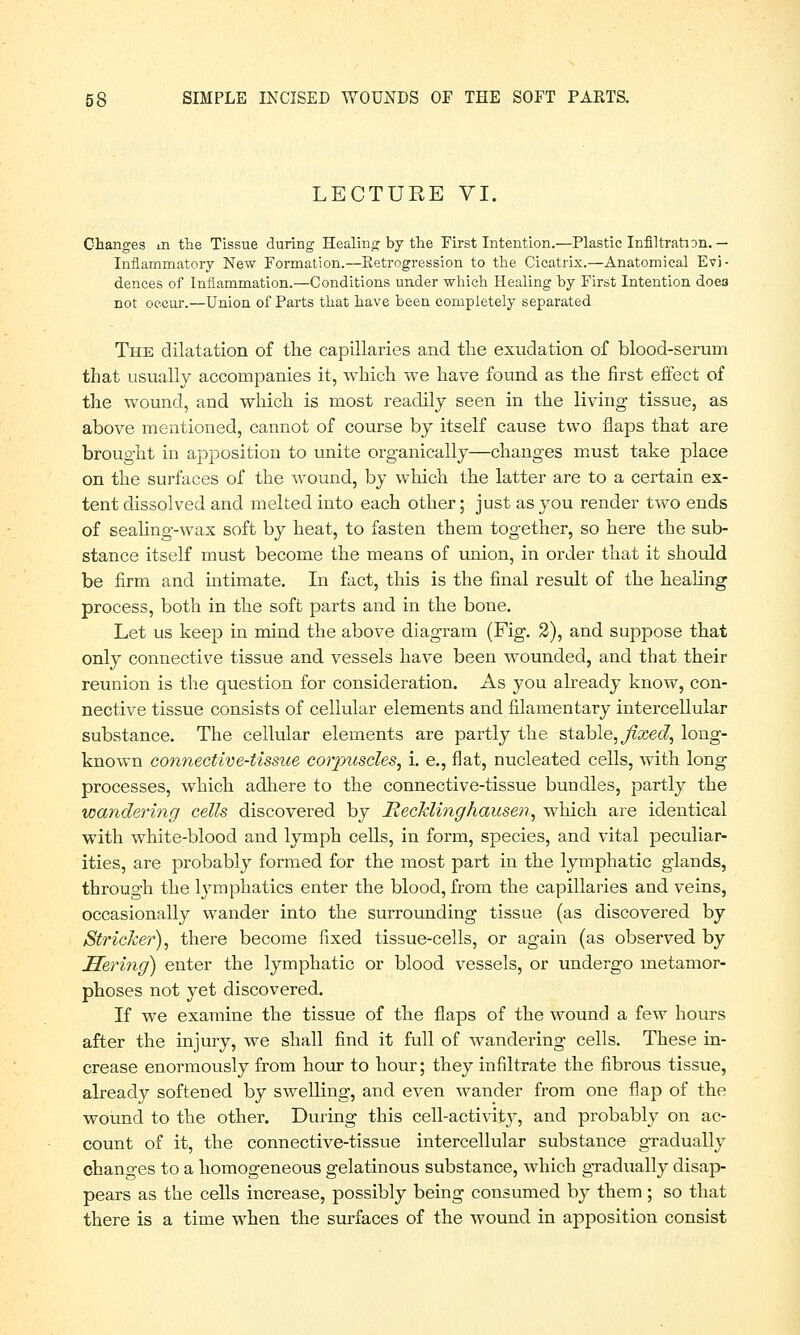 LECTURE VI. Changes m the Tissue during Healing by the First Intention.—Plastic Infiltration. — Inflammatory New Formation.—Retrogression to the Cicatrix.—Anatomical Evi- dences of Inflammation.—Conditions under which Healing by First Intention does not occur.—Union of Parts that have been completely separated The dilatation of the capillaries and the exudation of blood-serum that usually accompanies it, which we have found as the first effect of the wound, and which is most readily seen in the living tissue, as above mentioned, cannot of course by itself cause two flaps that are brought in apposition to unite organically—changes must take place on the surfaces of the wound, by which the latter are to a certain ex- tent dissolved and melted into each other; just as you render two ends of sealing-wax soft by heat, to fasten them together, so here the sub- stance itself must become the means of union, in order that it should be firm and intimate. In fact, this is the final result of the healing process, both in the soft parts and in the bone. Let us keep in mind the above diagram (Fig. 2), and suppose that only connective tissue and vessels have been wounded, and that their reunion is the question for consideration. As you already know, con- nective tissue consists of cellular elements and filamentary intercellular substance. The cellular elements are partly the stable, fixed, long- known connective-tissue corpuscles, i. e., flat, nucleated cells, with long processes, which adhere to the connective-tissue bundles, partly the wandering cells discovered by Recklinghausen, which are identical with white-blood and lymph cells, in form, species, and vital peculiar- ities, are probably formed for the most part in the lymphatic glands, through the lymphatics enter the blood, from the capillaries and veins, occasionally wander into the surrounding tissue (as discovered by Strieker), there become fixed tissue-cells, or again (as observed by Hering) enter the lymphatic or blood vessels, or undergo metamor- phoses not yet discovered. If we examine the tissue of the flaps of the wound a few hours after the injury, we shall find it full of wandering cells. These in- crease enormously from hour to hour; they infiltrate the fibrous tissue, already softened by swelling, and even wander from one flap of the wound to the other. During this cell-activity, and probably on ac- count of it, the connective-tissue intercellular substance gradualhT changes to a homogeneous gelatinous substance, which gradually disap- pears as the cells increase, possibly being consumed by them ; so that there is a time when the surfaces of the wound in apposition consist