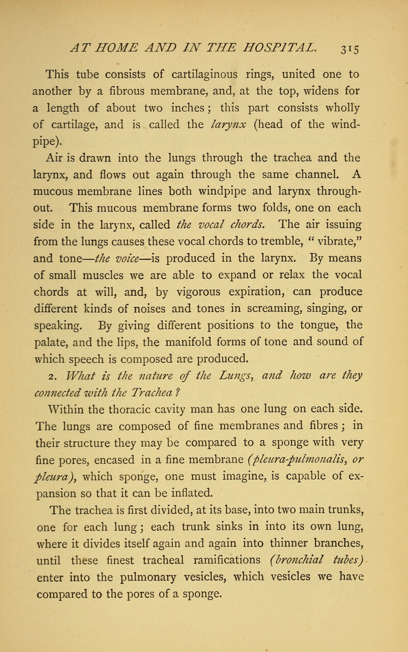 This tube consists of cartilaginous rings, united one to another by a fibrous membrane, and, at the top, widens for a length of about two inches; this part consists wholly of cartilage, and is called the larynx (head of the wind- pipe). Air is drawn into the lungs through the trachea and the larynx, and flows out again through the same channel. A mucous membrane lines both windpipe and larynx through- out. This mucous membrane forms two folds, one on each side in the larynx, called the vocal chords. The air issuing from the lungs causes these vocal chords to tremble,  vibrate, and tone—the voice—is produced in the larynx. By means of small muscles we are able to expand or relax the vocal chords at will, and, by vigorous expiration, can produce different kinds of noises and tones in screaming, singing, or speaking. By giving different positions to the tongue, the palate, and the lips, the manifold forms of tone and sound of which speech is composed are produced. 2. What is the nature of the Lungs, and how are they connected with the Trachea ? Within the thoracic cavity man has one lung on each side. The lungs are composed of fine membranes and fibres; in their structure they may be compared to a sponge with very fine pores, encased in a fine membrane (phura-pulmonalis^ or pleura), which sponge, one must imagine, is capable of ex- pansion so that it can be inflated. The trachea is first divided, at its base, into two main trunks, one for each lung; each trunk sinks in into its own lung, where it divides itself again and again into thinner branches, until these finest tracheal ramifications (bronchial tubes) enter into the pulmonary vesicles, which vesicles we have compared to the pores of a sponge.