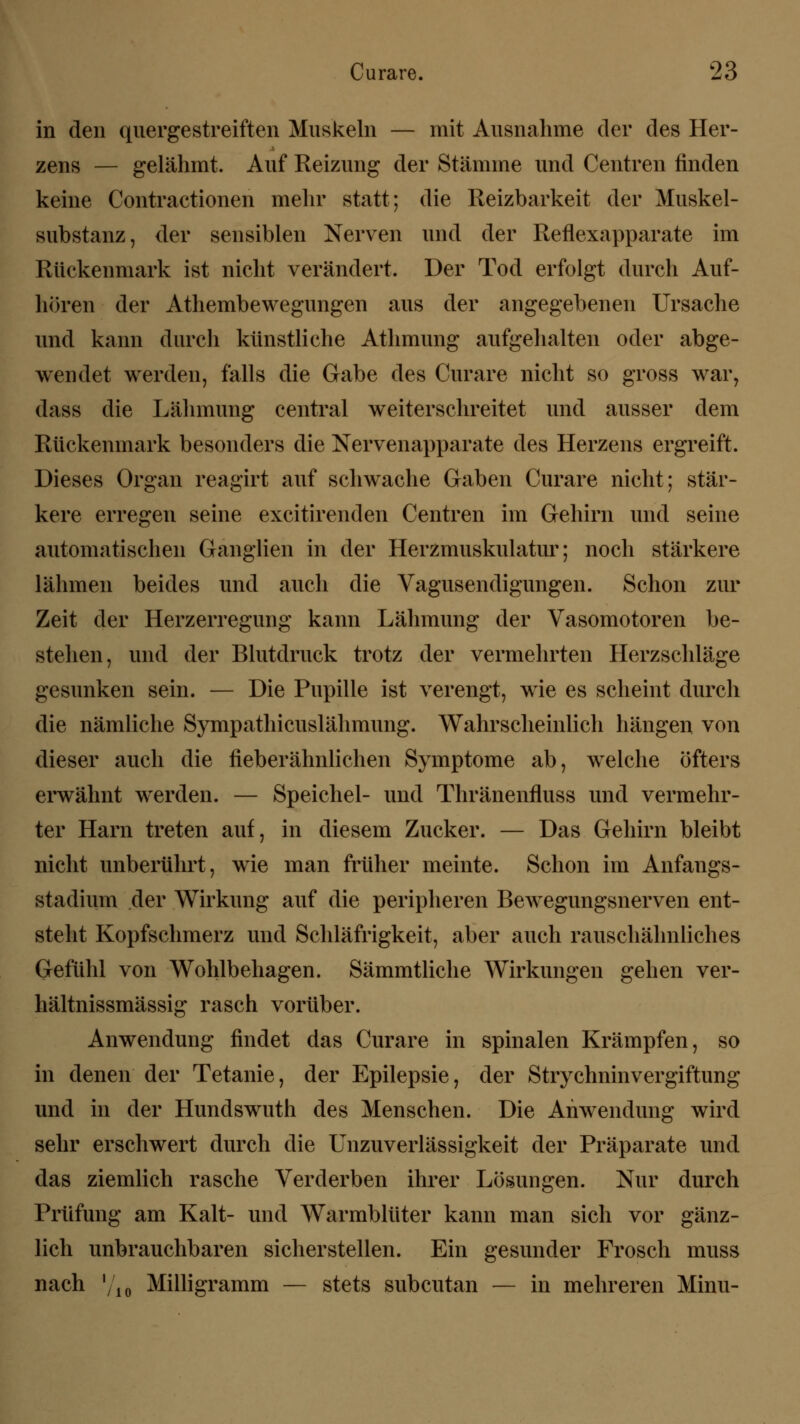 in den quergestreiften Muskeln — mit Ausnahme der des Her- zens — gelähmt. Auf Reizung der Stämme und Centren finden keine Contractionen mehr statt; die Reizbarkeit der Muskel- substanz, der sensiblen Nerven und der Reflexapparate im Rückenmark ist nicht verändert. Der Tod erfolgt durch Auf- hören der Athembewegungen aus der angegebenen Ursache und kann durch künstliche Athmung aufgehalten oder abge- wendet werden, falls die Gabe des Curare nicht so gross war, dass die Lähmung central weiterschreitet und ausser dem Rückenmark besonders die Nervenapparate des Herzens ergreift. Dieses Organ reagirt auf schwache Gaben Curare nicht; stär- kere erregen seine excitirenden Centren im Gehirn und seine automatischen Ganglien in der Herzmuskulatur; noch stärkere lähmen beides und auch die Vagusendigungen. Schon zur Zeit der Herzerregung kann Lähmung der Vasomotoren be- stehen, und der Blutdruck trotz der vermehrten Herzschläge gesunken sein. — Die Pupille ist verengt, wie es scheint durch die nämliche Sympathicuslähmung. Wahrscheinlich hängen von dieser auch die fieberälmlichen Symptome ab, welche öfters erwähnt werden. — Speichel- und Thränenfluss und vermehr- ter Harn treten auf, in diesem Zucker. — Das Gehirn bleibt nicht unberührt, wie man früher meinte. Schon im Anfangs- stadium der Wirkung auf die peripheren Bewegungsnerven ent- steht Kopfschmerz und Schläfrigkeit, aber auch rauschähnliches Gefühl von Wohlbehagen. Sämmtliche Wirkungen gehen ver- hältnissmässig rasch vorüber. Anwendung findet das Curare in spinalen Krämpfen, so in denen der Tetanie, der Epilepsie, der Strychninvergiftung und in der Hundswuth des Menschen. Die Anwendung wird sehr erschwert durch die Unzuverlässigkeit der Präparate und das ziemlich rasche Verderben ihrer Lösungen. Nur durch Prüfung am Kalt- und Warmblüter kann man sich vor gänz- lich unbrauchbaren sicherstellen. Ein gesunder Frosch muss nach '/ie Milligramm — stets subcutan — in mehreren Minu-