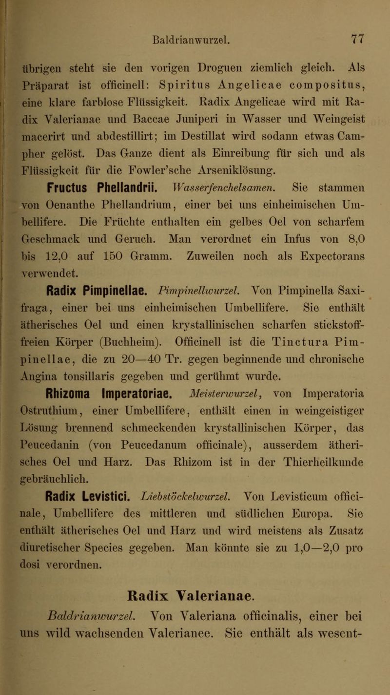 übrigen steht sie den vorigen Droguen ziemlieh gleich. Als Präparat ist officinell: Spiritus Angelicae compositus, eine klare farblose Flüssigkeit. Radix Angelicae wird mit Ra- dix Valerianae und Baccae Juniperi in Wasser und Weingeist macerirt und abdestillirt; im Destillat wird sodann etwas Cam- pher gelöst. Das Ganze dient als Einreibung für sich und als Flüssigkeit für die Fowler'sche Arseniklösung. FrilCtUS PhellandrÜ. Wasserfenchelsamen, Sie stammen von Oenanthe Phellandrium, einer bei uns einheimischen Um- bellifere. Die Früchte enthalten ein gelbes Oel von scharfem Geschmack und Geruch. Man verordnet ein Infus von 8,0 bis 12,0 auf 150 Gramm. Zuweilen noch als Expectorans verwendet. Radix Pimpinellae. Pimpinellwurzel. Von Pimpinella Saxi- fraga, einer bei uns einheimischen Umbellifere. Sie enthält ätherisches Oel und einen kristallinischen scharfen stickstoff- freien Körper (Buchheim). Officinell ist die Tinctura Pim- pinellae, die zu 20—40 Tr. gegen beginnende und chronische Angina tonsillaris gegeben und gerühmt wurde. Rhizoma ImperatOriae. Meisterwurzel, von Imperatoria Ostruthium, einer Umbellifere, enthält einen in weingeistiger Lösung brennend schmeckenden krystallinischen Körper, das Peucedanin (von Peucedanum officinale), ausserdem ätheri- sches Oel und Harz. Das Rhizom ist in der Thierheilkunde gebräuchlich. Radix Levistici. Liebstöckelwurzel. Von Levisticum offici- nale, Umbellifere des mittleren und südlichen Europa. Sie enthält ätherisches Oel und Harz und wird meistens als Zusatz diuretischer Species gegeben. Man könnte sie zu 1,0—2,0 pro dosi verordnen. Radix Valerianae. Baldrianwurzel. Von Valeriana officinalis, einer bei uns wild wachsenden Valerianee. Sie enthält als wesent-