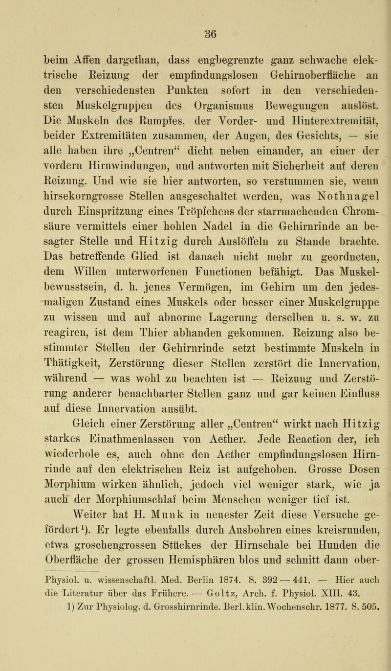 beim Affen dargethan, dass engbegrenzte ganz schwache elek- trische Reizung der empfindungslosen Gehirnoberfläche an den verschiedensten Punkten sofort in den verschieden- sten Muskelgruppen des Organismus Bewegungen auslöst, Die Muskeln des Rumpfes, der Vorder- und Hinterextreniität, beider Extremitäten zusammen, der Augen, des Gesichts, — sie alle haben ihre „Centren dicht neben einander, an einer der vordem Hirnwindungen, und antworten mit Sicherheit auf deren Reizung. Und wie sie hier antworten, so verstummen sie, wenn hirsekorngrosse Stellen ausgeschaltet werden, was Nothnagel durch Einspritzung eines Tröpfchens der starrmachenden Chrom- säure vermittels einer hohlen Nadel in die Gehirnrinde an be- sagter Stelle und Hitzig durch Auslöffeln zu Stande brachte. Das betreffende Glied ist danach nicht mehr zu geordneten, dem Willen unterworfenen Functionen befähigt. Das Muskel- bewusstsein, d. h. jenes Vermögen, im Gehirn um den jedes- maligen Zustand eines Muskels oder besser einer Muskelgruppe zu wissen und auf abnorme Lagerung derselben u. s. w. zu reagiren, ist dem Thier abhanden gekommen. Reizung also be- stimmter Stellen der Gehirnrinde setzt bestimmte Muskeln in Thätigkeit, Zerstörung dieser Stellen zerstört die Innervation, während — was wohl zu beachten ist — Reizung und Zerstö- rung anderer benachbarter Stellen ganz und gar keinen Einfluss auf diese Innervation ausübt. Gleich einer Zerstörung aller „Centren wirkt nach Hitzig starkes Einathmenlassen von Aether. Jede Reaction der, ich wiederhole es, auch ohne den Aether empfindungslosen Hirn- rinde auf den elektrischen Reiz ist aufgehoben. Grosse Dosen Morphium wirken ähnlich, jedoch viel weniger stark, wie ja auch der Morphiumschlaf beim Menschen weniger tief ist. Weiter hat H. Munk in neuester Zeit diese Versuche ge- fördert 1). Er legte ebenfalls durch Ausbohren eines kreisrunden, etwa groschengrossen Stückes der Hirnschale bei Hunden die Oberfläche der grossen Hemisphären blos und schnitt dann ober- Physiol. u. Wissenschaft!. Med. Berlin 1874. S. 392 — 441. — Hier auch die Literatur über das Frühere. — Goltz, Arch. f. Physiol. XIII. 43. 1) Zur Physiolog. d. Grosshirnrinde. Berl.klin.Wochenschr. 1877. S. 505.
