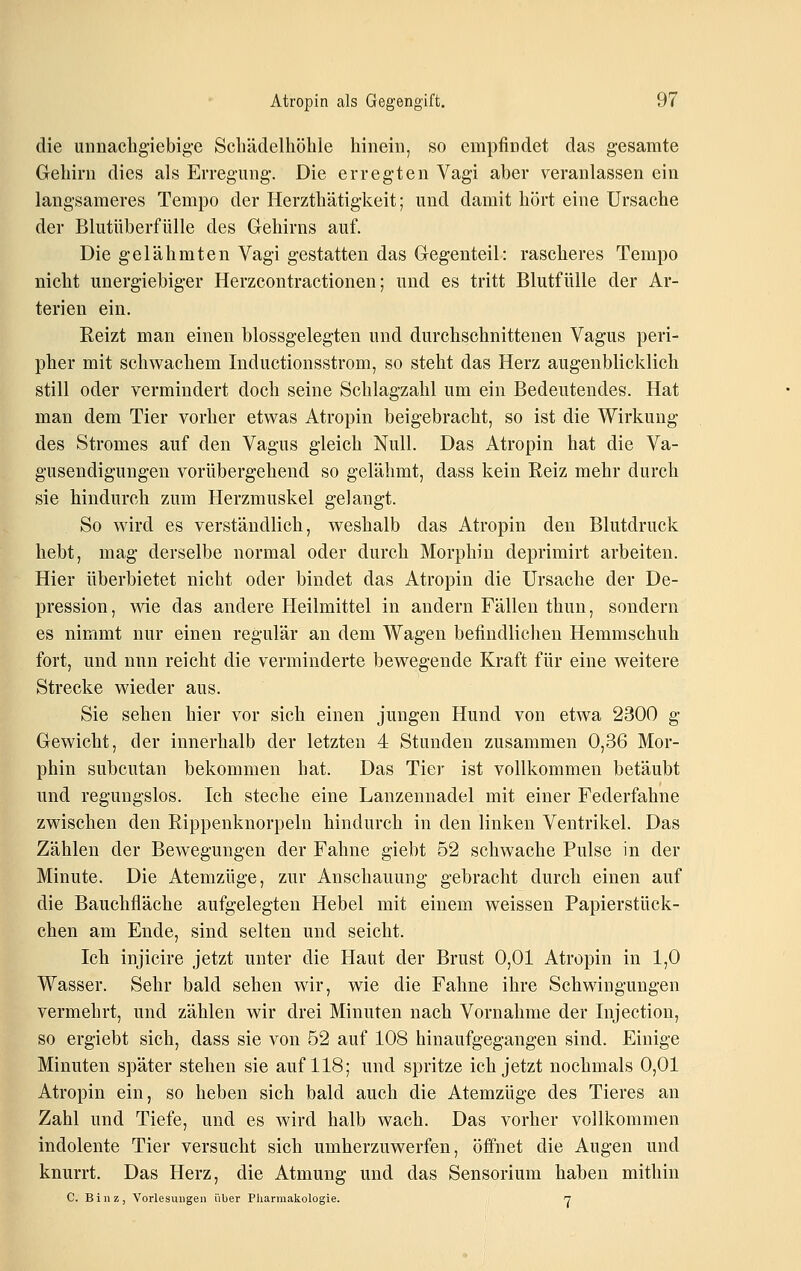 die unnaclig'iebige Scliädelhöhle hinein, so empfindet das gesamte Gehirn dies als Erregung-. Die erregten Vagi aber veranlassen ein langsameres Tempo der Herzthätigkeit; und damit hört eine Ursache der Blutüberfülle des Gehirns auf. Die gelähmten Vagi gestatten das Gegenteil: rascheres Tempo nicht unergiebiger Herzcontractionen; und es tritt Blutfülle der Ar- terien ein. Reizt man einen blossgelegten und durchschnittenen Vagus peri- pher mit schwachem Inductionsstrom, so steht das Herz augenblicklich still oder vermindert doch seine Schlagzahl um ein Bedeutendes. Hat man dem Tier vorher etwas Atropin beigebracht, so ist die Wirkung des Stromes auf den Vagus gleich Null. Das Atropin hat die Va- gusendigungen vorübergehend so gelähmt, dass kein Reiz mehr durch sie hindurch zum Herzmuskel gelangt. So wird es verständlich, weshalb das Atropin den Blutdruck hebt, mag derselbe normal oder durch Morphin deprimirt arbeiten. Hier überbietet nicht oder bindet das Atropin die Ursache der De- pression, wie das andere Heilmittel in andern Fällen thun, sondern es nimmt nur einen regulär an dem Wagen befindliclien Hemmschuh fort, und nun reicht die verminderte bew^egende Kraft für eine weitere Strecke wieder aus. Sie sehen hier vor sich einen jungen Hund von etwa 2300 g Gewicht, der innerhalb der letzten 4 Stunden zusammen 0,36 Mor- phin subcutan bekommen hat. Das Tier ist vollkommen betäubt und regungslos. Ich steche eine Lanzenuadel mit einer Federfahne zwischen den Rippenknorpeln hindurch in den linken Ventrikel. Das Zählen der Bewegungen der Fahne giebt 52 schwache Pulse in der Minute. Die Atemzüge, zur Anschauung gebracht durch einen auf die Bauchfläche aufgelegten Hebel mit einem weissen Papierstück- chen am Ende, sind selten und seicht. Ich injicire jetzt unter die Haut der Brust 0,01 Atropin in 1,0 Wasser. Sehr bald sehen wir, wie die Fahne ihre Schwingungen vermehrt, und zählen wir drei Minuten nach Vornahme der Injection, so ergiebt sich, dass sie von 52 auf 108 hinaufgegangen sind. Einige Minuten später stehen sie auf 118; und spritze ich jetzt nochmals 0,01 Atropin ein, so heben sich bald auch die Atemzüge des Tieres an Zahl und Tiefe, und es wird halb wach. Das vorher vollkommen indolente Tier versucht sich umherzuwerfen, öffnet die Augen und knurrt. Das Herz, die Atmung und das Sensorium haben mithin C. Binz, Vorlesuugen über Pharmakologie. n