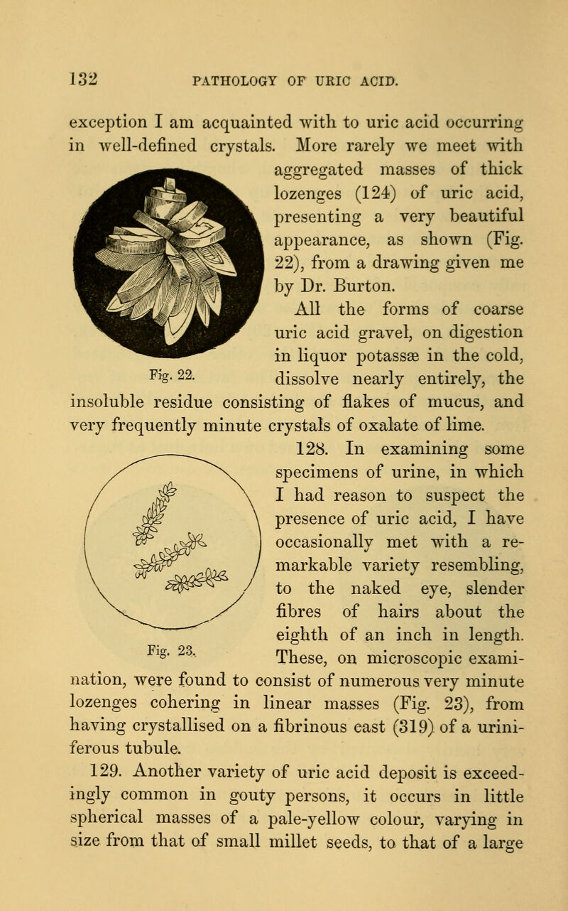 exception I am acquainted with to uric acid occurring in well-defined crystals. More rarely we meet with aggregated masses of thick lozenges (124) of uric acid, presenting a very beautiful appearance, as shown (Fig. 22), from a drawing given me by Dr. Burton. All the forms of coarse uric acid gravel, on digestion in liquor potassae in the cold, Fig. 22. dissolve nearly entirely, the insoluble residue consisting of flakes of mucus, and very frequently minute crystals of oxalate of lime. 128. In examining some specimens of urine, in which I had reason to suspect the presence of uric acid, I have occasionally met with a re- markable variety resembling, to the naked eye, slender fibres of hairs about the eighth of an inch in length. lg' ' These, on microscopic exami- nation, were found to consist of numerous very minute lozenges cohering in linear masses (Fig. 23), from having crystallised on a fibrinous east (319) of a urini- ferous tubule. 129. Another variety of uric acid deposit is exceed- ingly common in gouty persons, it occurs in little spherical masses of a pale-yellow colour, varying in size from that of small millet seeds, to that of a large