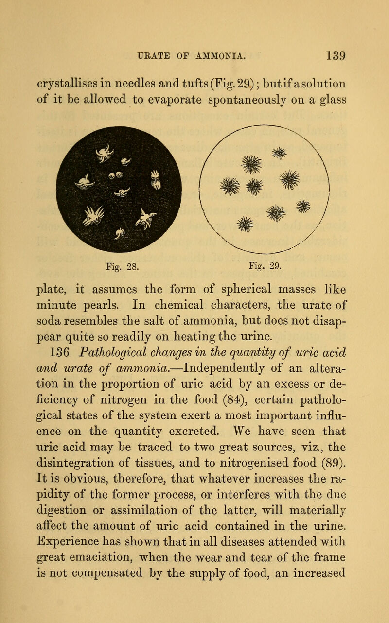 crystallises in needles and tufts (Fig. 29); but if a solution of it be allowed to evaporate spontaneously on a glass Fig. 28. Fig. 29. plate, it assumes the form of spherical masses like minute pearls. In chemical characters, the urate of soda resembles the salt of ammonia, but does not disap- pear quite so readily on heating the urine. 136 Pathological changes in the quantity of uric acid and urate of ammonia.—Independently of an altera- tion in the proportion of uric acid by an excess or de- ficiency of nitrogen in the food (84), certain patholo- gical states of the system exert a most important influ- ence on the quantity excreted. We have seen that uric acid may be traced to two great sources, viz., the disintegration of tissues, and to nitrogenised food (89). It is obvious, therefore, that whatever increases the ra- pidity of the former process, or interferes with the due digestion or assimilation of the latter, will materially affect the amount of uric acid contained in the urine. Experience has shown that in all diseases attended with great emaciation, when the wear and tear of the frame is not compensated by the supply of food, an increased