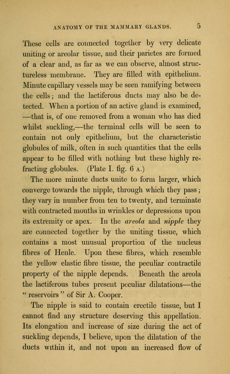 These cells are connected together by very delicate uniting or areolar tissue, and their parietes are formed of a clear and, as far as we can observe, almost struc- tureless membrane. They are filled with epithelium. Minute capillary vessels may be seen ramifying between the cells; and the lactiferous ducts may also be de- tected. When a portion of an active gland is examined, —that is, of one removed from a woman who has died whilst suckling,—the terminal cells will be seen to contain not only epithelium, but the characteristic globules of milk, often in such quantities that the cells appear to be filled with nothing but these highly re- fracting globules. (Plate I. fig. 6 a.) The more minute ducts unite to form larger, which converge towards the nipple, through which they pass; they vary in number from ten to twenty, and terminate with contracted mouths in wrinkles or depressions upon its extremity or apex. In the areola and nipple they are connected together by the uniting tissue, which contains a most unusual proportion of the nucleus fibres of Henle. Upon these fibres, which resemble the yellow elastic fibre tissue, the peculiar contractile property of the nipple depends. Beneath the areola the lactiferous tubes present peculiar dilatations—the  reservoirs  of Sir A. Cooper. The nipple is said to contain erectile tissue, but I cannot find any structure deserving this appellation. Its elongation and increase of size during the act of suckling depends, I believe, upon the dilatation of the ducts within it, and not upon an increased flow of