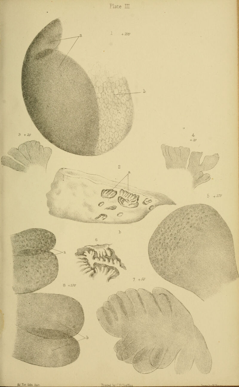 1 +. 3 + 20 ■■: 7 +S0