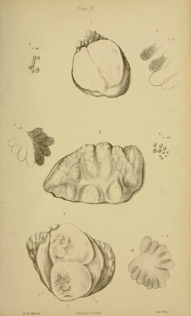 0 mm' / 89 fe *rc m \% D Ad Hat dshiL luct RiacetL by