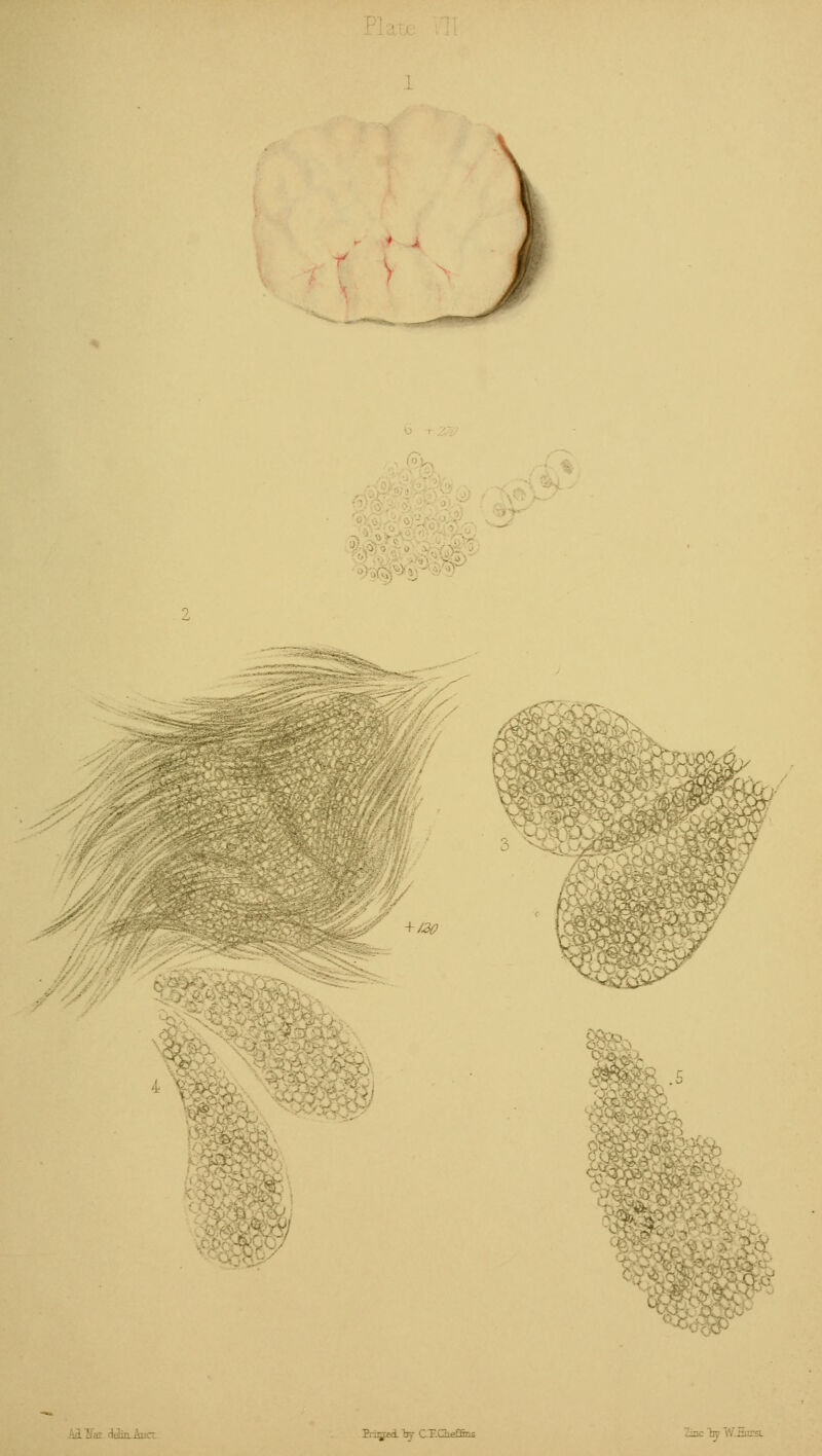 + /20 4 • Priced hj CE