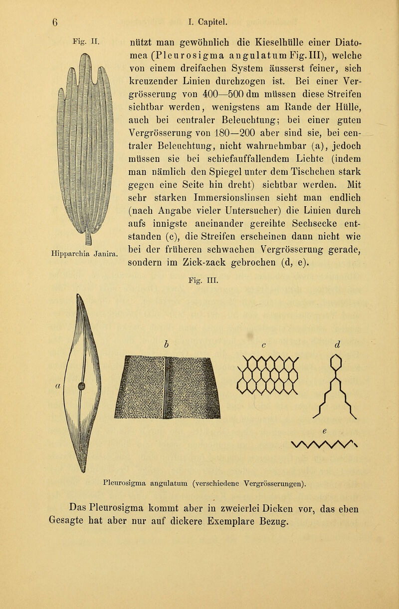 Hipparchia Janira. I. Capitel. mea (Pleurosigma angulatum Fig.III), welche von einem dreifachen System äusserst feiner, sich kreuzender Linien durchzogen ist. Bei einer Ver- grösserung von 400—500 dm müssen diese Streifen sichtbar werden, wenigstens am Rande der Hülle, auch bei centraler Beleuchtung; bei einer guten Vergrösserung von 180—200 aber sind sie, bei cen- traler Beleuchtung, nicht wahrnehmbar (a), jedoch müssen sie bei schiefauffallendem Lichte (indem man nämlich den Spiegel unter dem Tischchen stark gegen eine Seite hin dreht) sichtbar werden. Mit sehr starken Immersionslinsen sieht man endlich (nach Angabe vieler Untersucher) die Linien durch aufs innigste aneinander gereihte Sechsecke ent- standen (c), die Streifen erscheinen dann nicht wie bei der früheren schwachen Vergrösserung gerade, sondern im Zick-zack gebrochen (d, e). Fig. III. WVW\ Pleurosigma angulatnm (verschiedene Vergrößerungen). Das Pleurosigma kommt aber in zweierlei Dicken vor, das eben Gesagte hat aber nur auf dickere Exemplare Bezug.