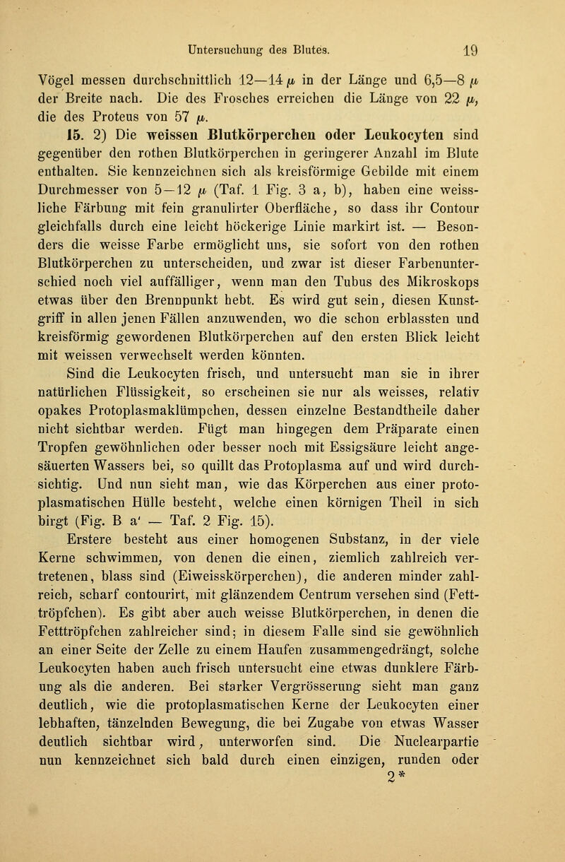 Vögel messen durchschnittlich 12—14 p in der Länge und 6,5—8 (i der Breite nach. Die des Frosches erreichen die Länge von 22 [i, die des Proteus von 57 /t*. 15. 2) Die weissen Blutkörperchen oder Leukocyten sind gegenüber den rothen Blutkörperchen in geringerer Anzahl im Blute enthalten. Sie kennzeichnen sich als kreisförmige Gebilde mit einem Durchmesser von 5 —12 [i (Taf. 1 Fig. 3 a, b), haben eine weiss- liche Färbung mit fein granulirter Oberfläche, so dass ihr Contour gleichfalls durch eine leicht höckerige Linie markirt ist. — Beson- ders die weisse Farbe ermöglicht uns, sie sofort von den rothen Blutkörperchen zu unterscheiden, und zwar ist dieser Farbenunter- schied noch viel auffälliger, wenn man den Tubus des Mikroskops etwas über den Brennpunkt hebt. Es wird gut sein, diesen Kunst- griff in allen jenen Fällen anzuwenden, wo die schon erblassten und kreisförmig gewordenen Blutkörperchen auf den ersten Blick leicht mit weissen verwechselt werden könnten. Sind die Leukocyten frisch, und untersucht man sie in ihrer natürlichen Flüssigkeit, so erscheinen sie nur als weisses, relativ opakes Protoplasmaklümpchen, dessen einzelne Bestandteile daher nicht sichtbar werden. Fügt man hingegen dem Präparate einen Tropfen gewöhnlichen oder besser noch mit Essigsäure leicht ange- säuerten Wassers bei, so quillt das Protoplasma auf und wird durch- sichtig. Und nun sieht man, wie das Körperchen aus einer proto- plasmatischen Hülle besteht, welche einen körnigen Theil in sich birgt (Fig. B a' — Taf. 2 Fig. 15). Erstere besteht aus einer homogenen Substanz, in der viele Kerne schwimmen, von denen die einen, ziemlich zahlreich ver- tretenen, blass sind (Eiweisskörperchen), die anderen minder zahl- reich, scharf contourirt, mit glänzendem Centrum versehen sind (Fett- tröpfchen). Es gibt aber auch weisse Blutkörperchen, in denen die Fetttröpfchen zahlreicher sind; in diesem Falle sind sie gewöhnlich an einer Seite der Zelle zu einem Haufen zusammengedrängt, solche Leukocyten haben auch frisch untersucht eine etwas dunklere Färb- ung als die anderen. Bei starker Vergrösserung sieht man ganz deutlich, wie die protoplasmatischen Kerne der Leukocyten einer lebhaften, tänzelnden Bewegung, die bei Zugabe von etwas Wasser deutlich sichtbar wird; unterworfen sind. Die Nuclearpartie nun kennzeichnet sich bald durch einen einzigen, runden oder 2*