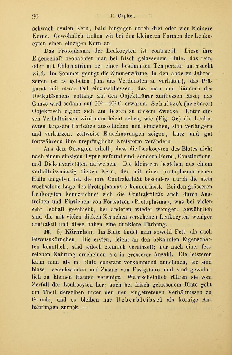 schwach ovalen Kern, bald hingegen durch drei oder vier kleinere Kerne. Gewöhnlich treffen wir bei den kleineren Formen der Leuko- eyten einen einzigen Kern an. Das Protoplasma der Leukocyten ist contractu. Diese ihre Eigenschaft beobachtet man bei frisch gelassenem Blute, das rein, oder mit Chlornatrium bei einer bestimmten Temperatur untersucht wird. Im Sommer genügt die Zimmerwärme, in den anderen Jahres- zeiten ist es geboten (um das Verdunsten zu verhüten), das Prä- parat mit etwas Oel einzuschliessen, das man den Rändern des Deckgläschens entlang auf den Objektträger auffliessen lässt; das Ganze wird sodann auf 30°—40°C. erwärmt. Schul tze's (heizbarer) Objekttisch eignet sich am besten zu diesem Zwecke. Unter die- sen Verhältnissen wird man leicht sehen, wie (Fig. 3 c) die Leuko- cyten langsam Fortsätze ausschicken und einziehen, sich verlängern und verkürzen, zeitweise Einschnürungen zeigen, kurz und gut fortwährend ihre ursprüngliche Kreisform verändern. Aus dem Gesagten erhellt, dass die Leukocyten des Blutes nicht nach einem einzigen Typus geformt sind, sondern Form-, Constitutions- und Dickenvarietäten aufweisen. Die kleineren bestehen aus einem verhältnissmässig dicken Kern, der mit einer protoplasmatischen Hülle umgeben ist, die ihre Contraktilität besonders durch die stets wechselnde Lage des Protoplasmas erkennen lässt. Bei den grösseren Leukocyten kennzeichnet sich die Contraktilität auch durch Aus- treiben und Einziehen von Fortsätzen (Protoplasma), was bei vielen sehr lebhaft geschieht, bei anderen wieder weniger: gewöhnlich sind die mit vielen dicken Kernchen versehenen Leukocyten weniger contraktil und diese haben eine dunklere Färbung. 16. 3) Körnchen. Im Blute findet man sowohl Fett- als auch Eiweisskörnchen. Die ersten, leicht an den bekannten Eigenschaf- ten kenntlich, sind jedoch ziemlich vereinzelt; nur nach einer fett- reichen Nahrung erscheinen sie in grösserer Anzahl. Die letzteren kann man als im Blute constant vorkommend annehmen, sie sind blass, verschwinden auf Zusatz von Essigsäure und sind gewöhn- lich zu kleinen Haufen vereinigt. Wahrscheinlich rühren sie vom Zerfall der Leukocyten her; auch bei frisch gelassenem Blute geht ein Theil derselben unter den neu eingetretenen Verhältnissen zu Grunde, und es bleiben nur Ueber bleib sei als körnige An- häufungen zurück. —