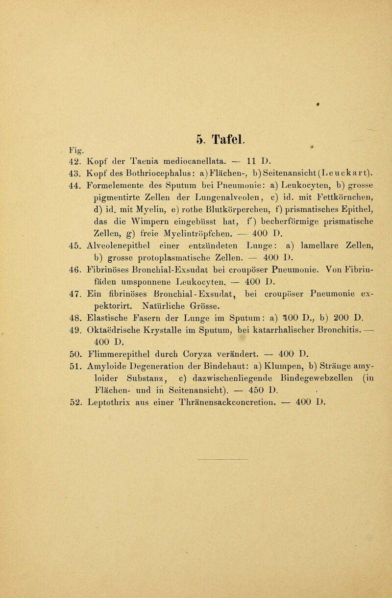 Fig. 42. Kopf der Taenia mediocanellata. — HD. 43. Kopf des Bothriocephalus: a)Flächen-, b) Seitenansicht (Leuckart). 44. Formelemente des Sputum bei Pneumonie: a) Leukocyten, b) grosse pigmentirte Zellen der Lungenalveolen, c) id. mit Fettkörneben, d) id. mit Myelin, e) rothe Blutkörperchen, f) prismatisches Epithel, das die Wimpern eirigebüsst hat, f) becherförmige prismatische Zellen, g) freie Myelintröpfchen. — 400 D. 45. Alveolenepithel einer entzündeten Lunge: a) lamellare Zellen, b) grosse protoplasmatische Zellen. — 400 D. 46. Fibrinöses Bronchial-Exsudat bei croupöser Pneumonie. Von Fibrin- fäden umsponnene Leukocyten. — 400 D. 47. Ein fibrinöses Bronchial-Exsudat, bei croupöser Pneumonie ex- pektorirt. Natürliche Grösse. 48. Elastische Fasern der Lunge im Sputum: a) WO D., b) 200 D. 49. Oktaedrische Krystalle im Sputum, bei katarrhalischer Bronchitis. — 400 D. 50. Flimmerepithel durch Coryza verändert. — 400 D. 51. Amyloide Degeneration der Bindehaut: a) Klumpen, b) Stränge amy- loider Substanz, c) dazwischenliegende Bindegewebzellen (in Flächen- und in Seitenansicht). — 450 D. 52. Leptothrix aus einer Thränensackconcretion. — 400 D.