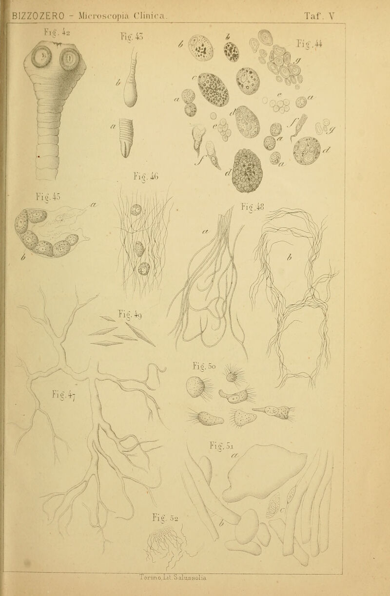 Fig. 4a Fic 43 Wt F). 4l.i