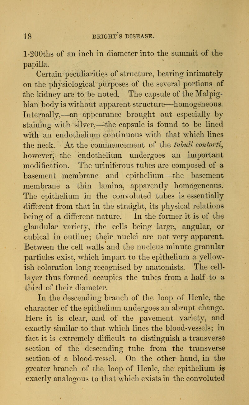 l-200ths of an inch in diameter into the summit of the papilla. Certain peculiarities of structure, bearing intimately on the physiological purposes of the several portions of the kidney are to be noted. The capsule of the Malpig- hian body is without apparent structure—homogeneous. Internally,—an appearance brought out especially by staining with silver,—-the capsule is found to be lined with an endothelium continuous with that which lines the neck. At the commencement of the tubuli contorti, however, the endothelium undergoes an important modification. The uriniferous tubes are composed of a basement membrane and epithelium—the basement membrane a thin lamina, apparently homogeneous. The epithelium in the convoluted tubes is essentially different from that in the straight, its physical relations beino; of a different nature. In the former it is of the glandular variety, the cells being large, angular, or cubical in outline; their nuclei are not very apparent. Between the cell walls and the nucleus minute granular particles exist, which impart to the epithelium a yellow- ish coloration long recognised by anatomists. The cell- layer thus formed occupies the tubes from a half to a third of their diameter. In the descending branch of the loop of Henle, the character of the epithelium undergoes an abrupt change. Here it is clear, and of the pavement variety, and exactly similar to that which lines the blood-vessels; in fact it is extremely difficult to distinguish a transverse section of the descending tube from the transverse section of a blood-vessel. On the other hand, in the greater branch of the loop of Henle, the epithelium is exactly analogous to that which exists in the convoluted