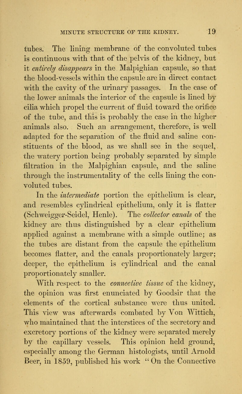 tubes. The lining membrane of the convoluted tubes is continuous with that of the pelvis of the kidney, but it entirely disappears in the Malpighian capsule, so that the blood-vessels within the capsule are in direct contact with the cavity of the urinary passages. In the case of the lower animals the interior of the capsule is lined by cilia which propel the current of fluid toward the orifice of the tube, and this is probably the case in the higher animals also. Such an arrangement, therefore, is well adapted for the separation of the fluid and saline con- stituents of the blood, as we shall see in the sequel, the watery portion being probably separated by simple filtration in the Malpighian capsule, and the saline through the instrumentality of the cells lining the con- voluted tubes. In the intermediate portion the epithelium is clear, and resembles cylindrical epithelium, only it is flatter (Schweigger-Seidel, Henle). The collector canals of the kidney are thus distinguished by a clear epithelium applied against a membrane with a simple outline; as the tubes are distant from the capsule the epithelium becomes flatter, and the canals proportionately larger; deeper, the epithelium is cylindrical and the canal proportionately smaller. With respect to the connective tissue of the kidney, the opinion was first enunciated by Goodsir that the elements of the cortical substance were thus united. This view was afterwards combated by Von Wittich, who maintained that the interstices of the secretory and excretory portions of the kidney were separated merely by the capillary vessels. This opinion held ground, especially among the German histologists, until Arnold Beer, in 1859, published his work  On the Connective