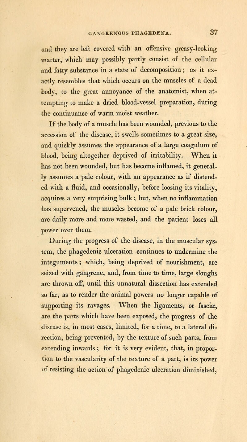 and they are left covered with an offensive greasy-looking matter, which may possibly partly consist of the cellular and fatty substance in a state of decomposition; as it ex- actly resembles that which occurs on the muscles of a dead body, to the great annoyance of the anatomist, when at- tempting to make a dried blood-vessel preparation, during the continuance of warm moist weather. If the body of a muscle has been wounded, previous to the accession of the disease, it swells sometimes to a great size, and quickly assumes the appearance of a large coagulum of blood, being altogether deprived of irritability. When it has not been wounded, but has become inflamed, it general- ly assumes a pale colour, with an appearance as if distend- ed with a fluid, and occasionally, before loosing its vitality, acquires a very surprising bulk; but, when no inflammation has supervened, the muscles become of a pale brick colour, are daily more and more wasted, and the patient loses all power over them. During the progress of the disease, in the muscular sys- tem, the phagedenic ulceration continues to undermine the integuments; which, being deprived of nourishment, are seized with gangrene, and, from time to time, large sloughs are thrown off, until this unnatural dissection has extended so far, as to render the animal powers no longer capable of supporting its ravages. When the ligaments, or fasciae, are the parts which have been exposed, the progress of the disease is, in most cases, limited, for a time, to a lateral di- rection, being prevented, by the texture of such parts, from extending inwards ; for it is very evident, that, in propor- tion to the vascularity of the texture of a part, is its power of resisting the action of phagedenic ulceration diminished.,