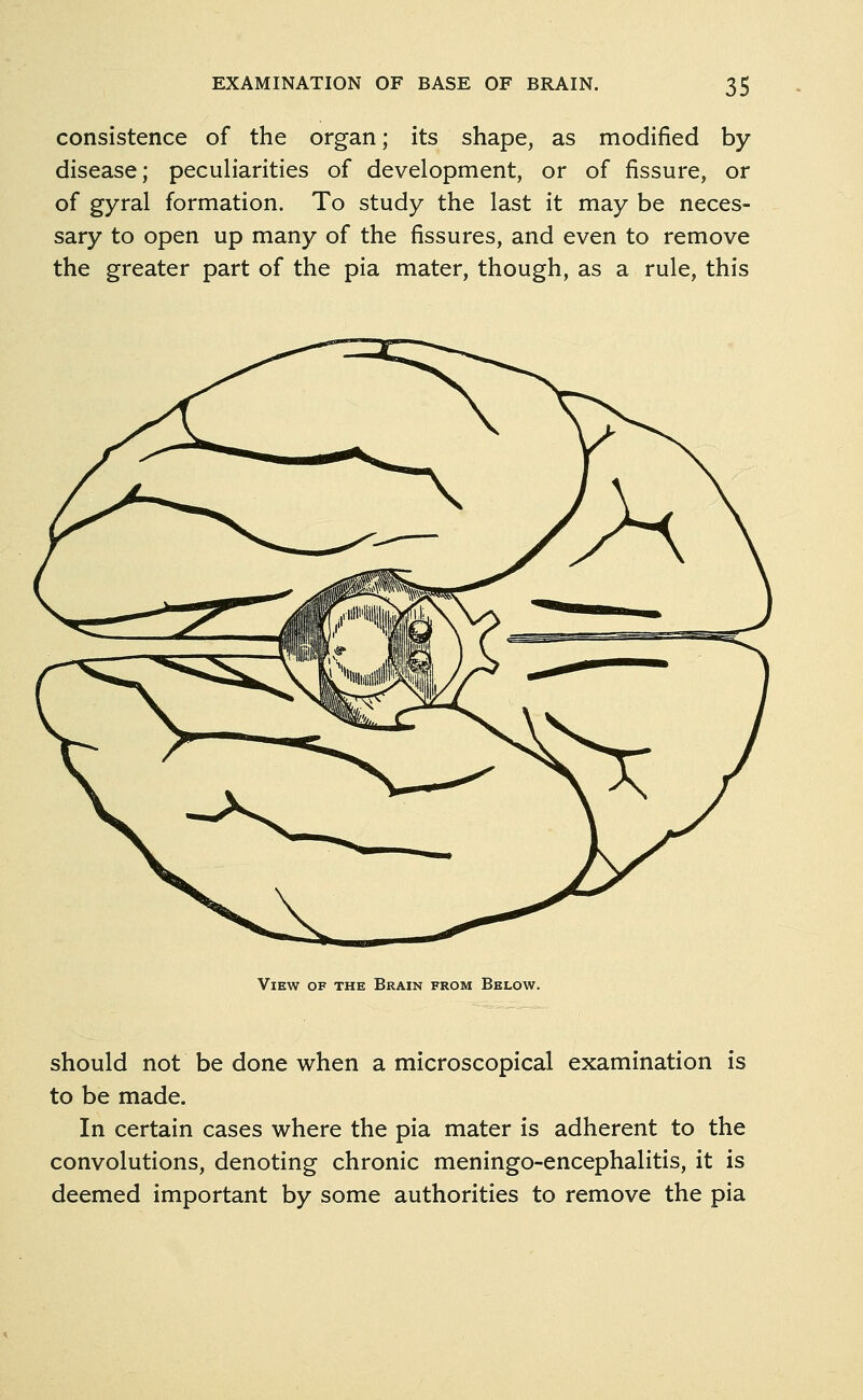 consistence of the organ; its shape, as modified by disease; peculiarities of development, or of fissure, or of gyral formation. To study the last it may be neces- sary to open up many of the fissures, and even to remove the greater part of the pia mater, though, as a rule, this View of the Brain from Below. should not be done when a microscopical examination is to be made. In certain cases where the pia mater is adherent to the convolutions, denoting chronic meningo-encephalitis, it is deemed important by some authorities to remove the pia