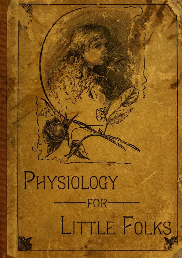 No text description is available for this image