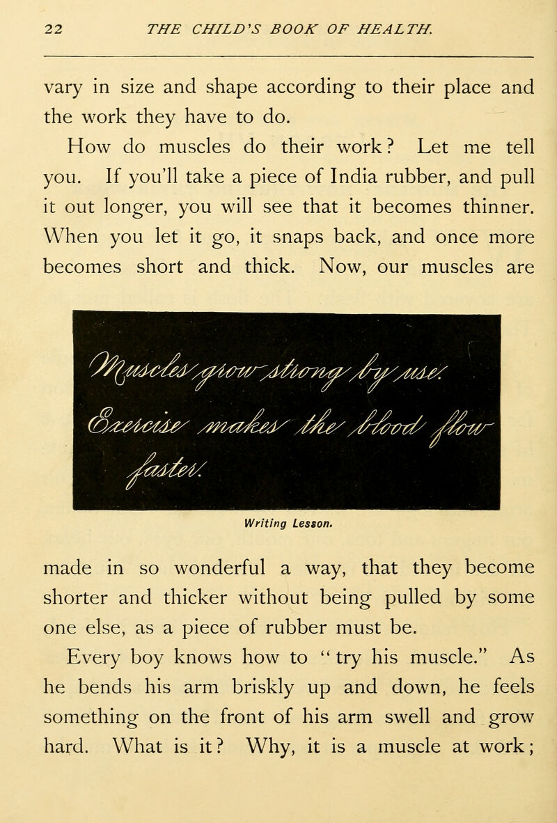 vary in size and shape according to their place and the work they have to do. How do muscles do their work? Let me tell you. If you'll take a piece of India rubber, and pull it out longer, you will see that it becomes thinner. When you let it go, it snaps back, and once more becomes short and thick. Now, our muscles are 0^4€d^^^, '/a4m{r ^.J^^kTT^ '/^Y^A^dey- / (byZM^^d^ /mizdsd^ /m^, /U^Ug/^ A fWt^r .Jad^t ^ Writing Lesson. made in so wonderful a way, that they become shorter and thicker without being pulled by some one else, as a piece of rubber must be. Every boy knows how to ''try his muscle. As he bends his arm briskly up and down, he feels something on the front of his arm swell and grow hard. What is it? Why, it is a muscle at work;