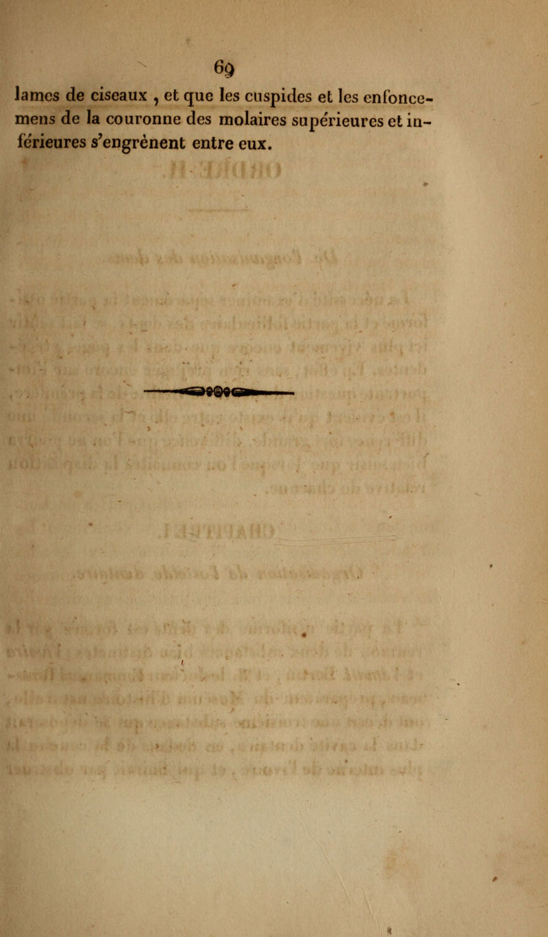 6£ lames de ciseaux 1 et que les cnspides et les enfonce- mens de la couronne des molaires supérieures et in- férieures s'engrènent entre eux.