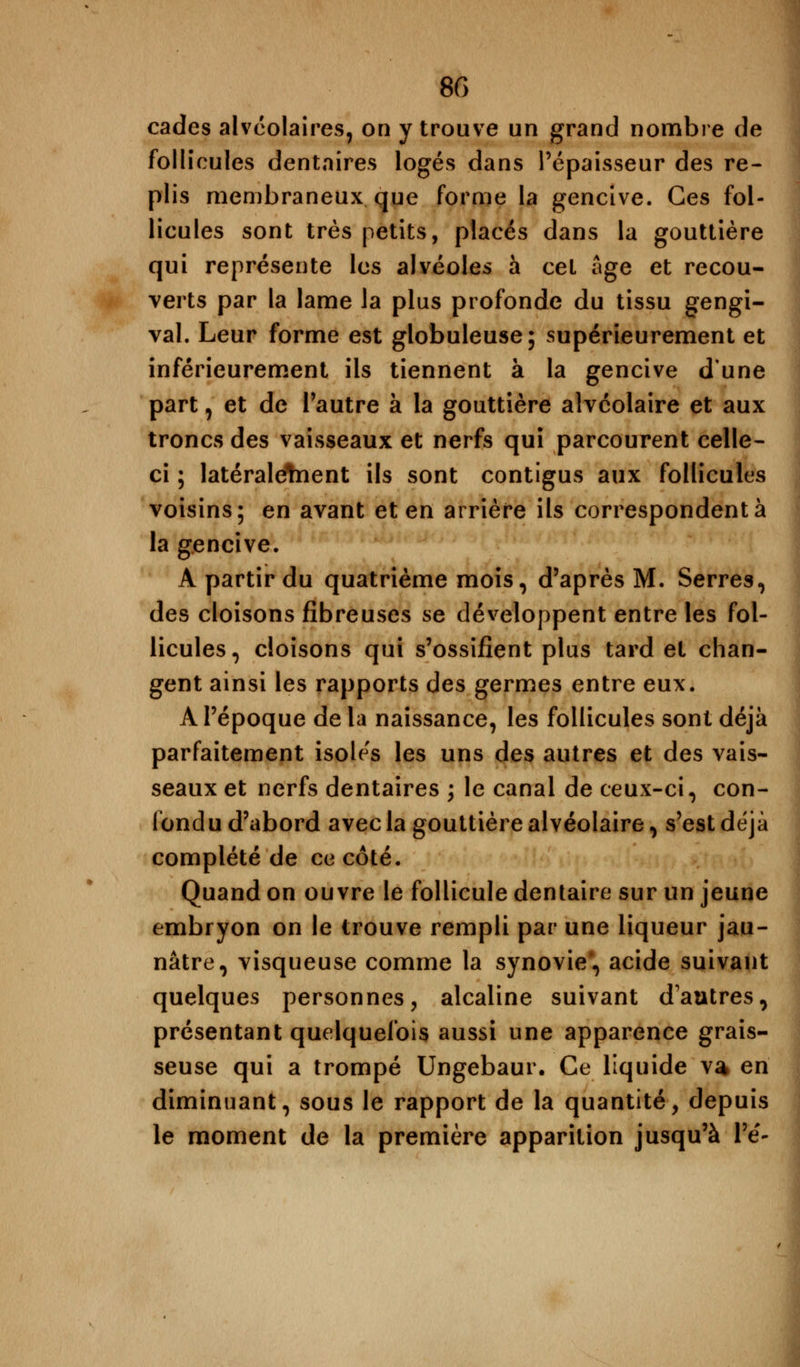 cades alvéolaires, on y trouve un grand nombre de follicules dentaires logés dans Pépaisseur des re- plis membraneux que forme la gencive. Ces fol- licules sont très petits, placés dans la gouttière qui représente les alvéoles à cet âge et recou- verts par la lame la plus profonde du tissu gengi- val. Leur forme est globuleuse; supérieurement et inférieurement ils tiennent à la gencive dune part, et de l'autre à la gouttière alvéolaire et aux troncs des vaisseaux et nerfs qui parcourent celle- ci ; latéraletnent ils sont contigus aux follicules voisins; en avant et en arrière ils correspondent à la gencive. À partir du quatrième mois, d'après M. Serres, des cloisons fibreuses se développent entre les fol- licules, cloisons qui s'ossifient plus tard et chan- gent ainsi les rapports des germes entre eux. A l'époque delà naissance, les follicules sont déjà parfaitement isoles les uns des autres et des vais- seaux et nerfs dentaires ; le canal de ceux-ci, con- fondu d'abord avec la gouttière alvéolaire, s'est déjà complété de ce côté. Quand on ouvre le follicule dentaire sur un jeune embryon on le trouve rempli par une liqueur jau- nâtre, visqueuse comme la synovie, acide suivant quelques personnes, alcaline suivant d'autres, présentant quelquefois aussi une apparence grais- seuse qui a trompé Ungebaur. Ce liquide va en diminuant, sous le rapport de la quantité, depuis le moment de la première apparition jusqu'à l'é-