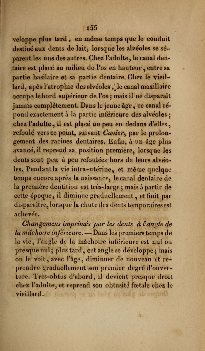 veloppe plus tard, en même temps que le conduit destine'aux dents de lait, lorsque les alvéoles se sé- parent les uns des autres. Chez l'adulte, le canal den- taire est place au milieu de l'os en hauteur, entre sa partie basilaire et sa partie dentaire. Chez le vieil- lard, apès l'atrophie des alvéoles ,^le canal maxillaire occupe lebord supérieur de l'os ; mais il ne disparaît jamais complètement. Dans le jeune âge, ce canal ré- pond exactement a la partie inférieure des alvéoles ; chez l'adulte, il est placé un peu en dedans délies, refoulé vers ce point, suivant Cuviei\ par le prolon- gement des racines dentaires. Enfin, à un âge plus avancé, il reprend sa position première, lorsque les dents sont peu à peu refoulées hors de leurs alvéo- les. Pendant la vie intra-utérine, et même quelque temps encore après la naissance, lecanal dentaire de la première dentition est très-large ; mais à partir de cette époque, il diminue graduellement, et finit par disparaître, lorsque la chute des dents temporaires est achevée. Changemens imprimés par les dents à Vangle de la mâchoire inférieure. — Dans les premiers temps de la vie, l'angle de la mâchoire inférieure est nul ou presque nul ; plus tard, cet angle se développe ; mais on le voit, avec l'âge, diminuer de nouveau et re- prendre graduellement son premier degré d'ouver- ture. Très-obtus d'abord, il devient presque droit chez l'adulte, et reprend son obtusité fœtale chez le vieillard.