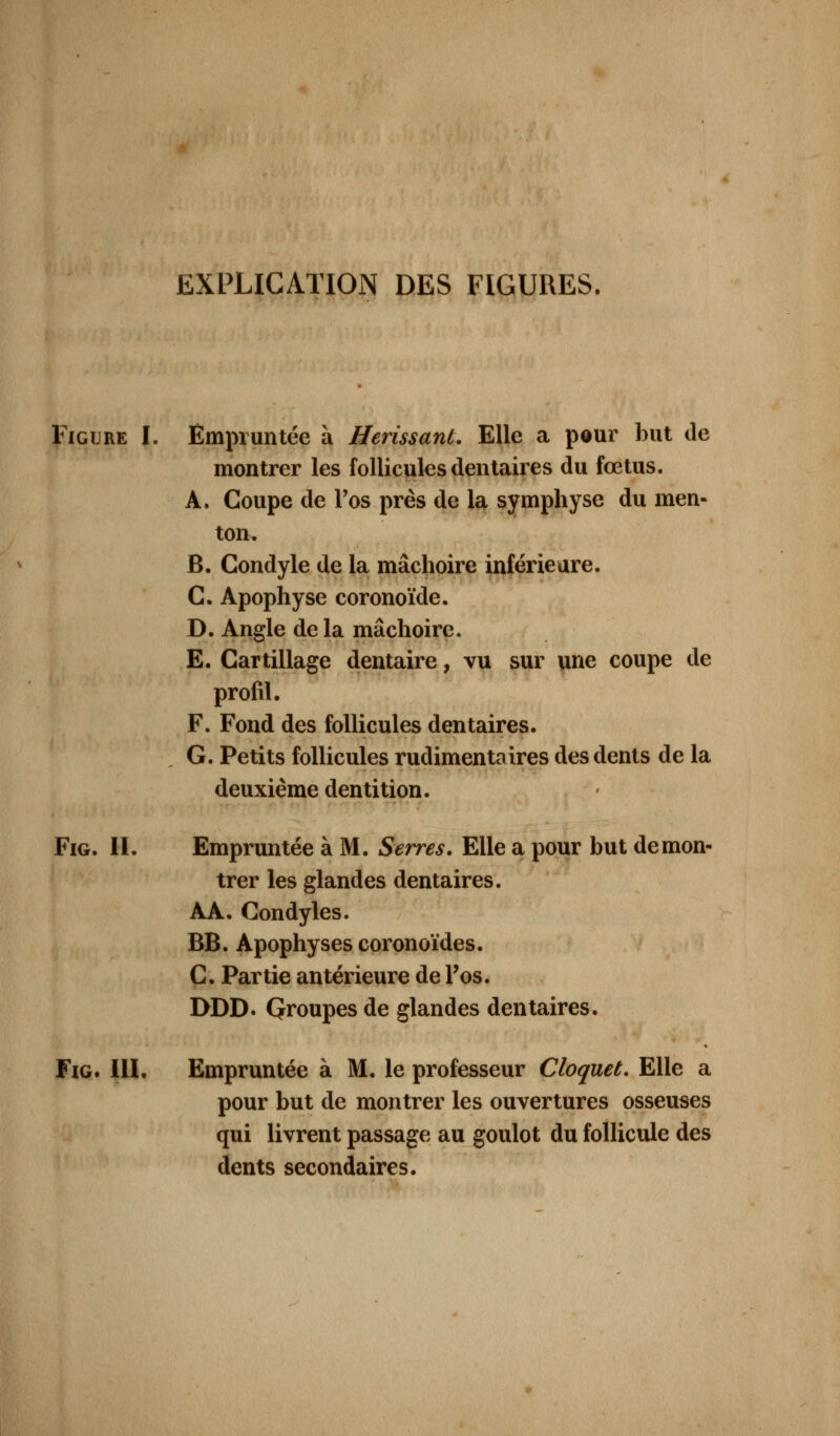 EXPLICATION DES FIGURES. Figure I. Empruntée à Hérissant. Elle a pour but de montrer les follicules dentaires du fœtus. A. Coupe de Pos près de la symphyse du men- ton. B. Condyle de la mâchoire inférieure. C. Apophyse coronoïde. D. Angle de la mâchoire. E. Cartillage dentaire, vu sur une coupe de profil. F. Fond des follicules dentaires. G. Petits follicules rudimentaires des dents de la deuxième dentition. Fig. II. Empruntée à M. Serres. Elle a pour but démon- trer les glandes dentaires. AA. Condyles. BB. Apophyses coronoïdes. C. Partie antérieure de Pos. I>DD. Qroupes de glandes dentaires. Fig. III. Empruntée à M. le professeur Cloquet. Elle a pour but de montrer les ouvertures osseuses qui livrent passage au goulot du follicule des dents secondaires.