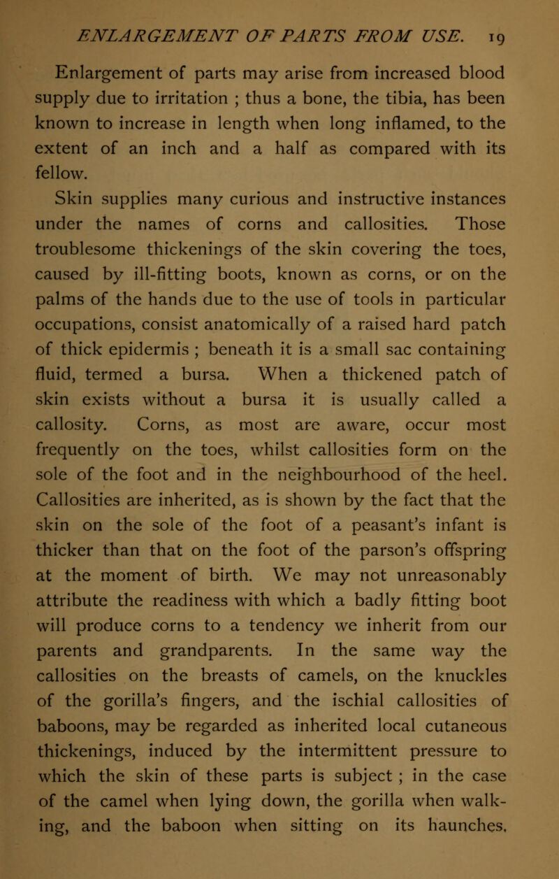 Enlargement of parts may arise from increased blood supply due to irritation ; thus a bone, the tibia, has been known to increase in length when long inflamed, to the extent of an inch and a half as compared with its fellow. Skin supplies many curious and instructive instances under the names of corns and callosities. Those troublesome thickenings of the skin covering the toes, caused by ill-fitting boots, known as corns, or on the palms of the hands due to the use of tools in particular occupations, consist anatomically of a raised hard patch of thick epidermis ; beneath it is a small sac containing fluid, termed a bursa. When a thickened patch of skin exists without a bursa it is usually called a callosity. Corns, as most are aware, occur most frequently on the toes, whilst callosities form on the sole of the foot and in the neighbourhood of the heel. Callosities are inherited, as is shown by the fact that the skin on the sole of the foot of a peasant's infant is thicker than that on the foot of the parson's offspring at the moment of birth. We may not unreasonably attribute the readiness with which a badly fitting boot will produce corns to a tendency we inherit from our parents and grandparents. In the same way the callosities on the breasts of camels, on the knuckles of the gorilla's fingers, and the ischial callosities of baboons, may be regarded as inherited local cutaneous thickenings, induced by the intermittent pressure to which the skin of these parts is subject ; in the case of the camel when lying down, the gorilla when walk- ing, and the baboon when sitting on its haunches,