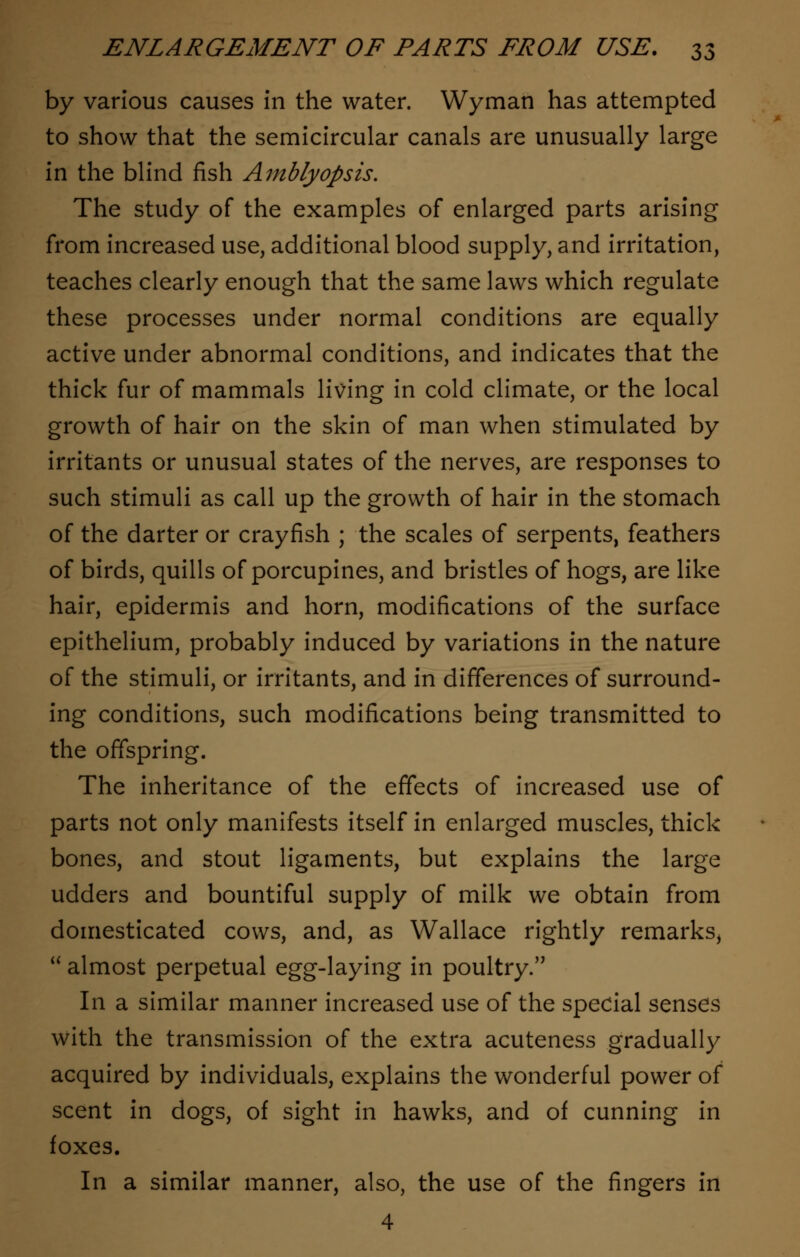 by various causes in the water. Wyman has attempted to show that the semicircular canals are unusually large in the blind fish Amblyopsis. The study of the examples of enlarged parts arising from increased use, additional blood supply, and irritation, teaches clearly enough that the same laws which regulate these processes under normal conditions are equally active under abnormal conditions, and indicates that the thick fur of mammals living in cold climate, or the local growth of hair on the skin of man when stimulated by irritants or unusual states of the nerves, are responses to such stimuli as call up the growth of hair in the stomach of the darter or crayfish ; the scales of serpents, feathers of birds, quills of porcupines, and bristles of hogs, are like hair, epidermis and horn, modifications of the surface epithelium, probably induced by variations in the nature of the stimuli, or irritants, and in differences of surround- ing conditions, such modifications being transmitted to the offspring. The inheritance of the effects of increased use of parts not only manifests itself in enlarged muscles, thick bones, and stout ligaments, but explains the large udders and bountiful supply of milk we obtain from domesticated cows, and, as Wallace rightly remarks,  almost perpetual egg-laying in poultry. In a similar manner increased use of the special senses with the transmission of the extra acuteness gradually acquired by individuals, explains the wonderful power of scent in dogs, of sight in hawks, and of cunning in foxes. In a similar manner, also, the use of the fingers in 4