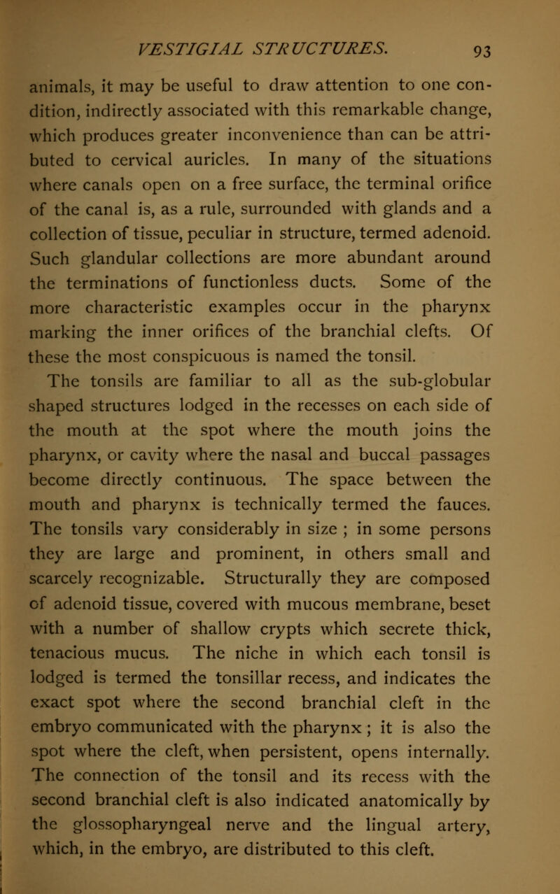 animals, it may be useful to draw attention to one con- dition, indirectly associated with this remarkable change, which produces greater inconvenience than can be attri- buted to cervical auricles. In many of the situations where canals open on a free surface, the terminal orifice of the canal is, as a rule, surrounded with glands and a collection of tissue, peculiar in structure, termed adenoid. Such glandular collections are more abundant around the terminations of functionless ducts. Some of the more characteristic examples occur in the pharynx marking the inner orifices of the branchial clefts. Of these the most conspicuous is named the tonsil. The tonsils are familiar to all as the sub-globular shaped structures lodged in the recesses on each side of the mouth at the spot where the mouth joins the pharynx, or cavity where the nasal and buccal passages become directly continuous. The space between the mouth and pharynx is technically termed the fauces. The tonsils vary considerably in size ; in some persons they are large and prominent, in others small and scarcely recognizable. Structurally they are composed of adenoid tissue, covered with mucous membrane, beset with a number of shallow crypts which secrete thick, tenacious mucus. The niche in which each tonsil is lodged is termed the tonsillar recess, and indicates the exact spot where the second branchial cleft in the embryo communicated with the pharynx; it is also the spot where the cleft, when persistent, opens internally. The connection of the tonsil and its recess with the second branchial cleft is also indicated anatomically by the glossopharyngeal nerve and the lingual artery, which, in the embryo, are distributed to this cleft.