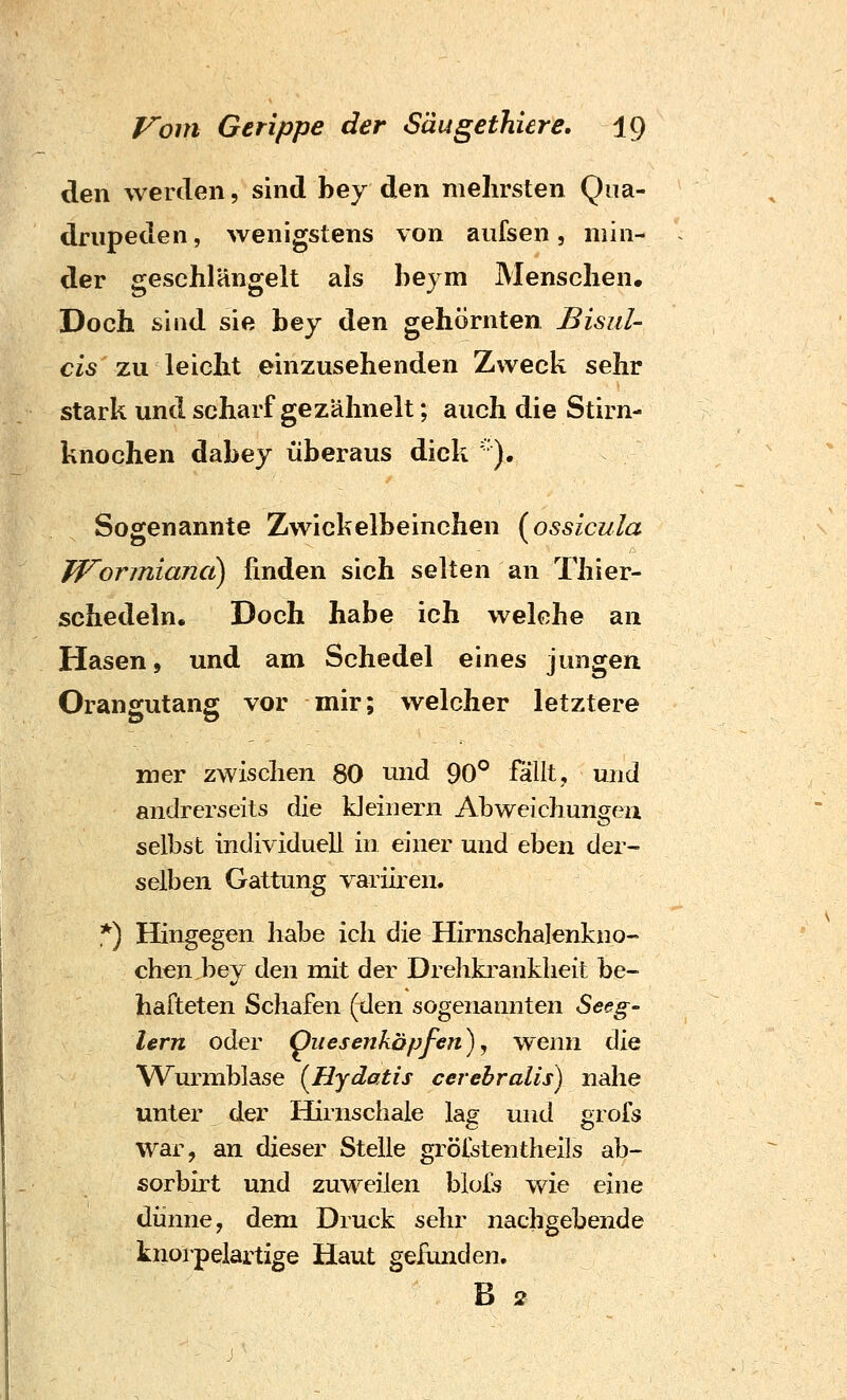 den werden, sind hey den niehrsten Qua- drupeden, wenigstens von aufsen, min- der geschlängelt als beym Menschen. Doch sind sie hey den gehörnten Bisul- eis zu leicht einzusehenden Zweck sehr stark und scharf gezähnelt; auch die Stirn- knochen dabej überaus dick ' ). Sogenannte Zwickelbeinchen (^ossicula TForinianct) finden sich selten an Thier- schedeln. Doch habe ich welche an Hasen, und am Schedel eines jungen Orangutang vor mir; welcher letztere mer zwischen 80 und 90° fallt, und andrerseits die kleinem Abweichungen selbst individuell in einer und eben der- selben Gattung variiren. *) Hingegen habe ich die Hirnschalenkno- chen bey den mit der Drelikranklieit be- hafteten Schafen (den sogenannten Seeg- lern oder Quesenkopfen)y wenn die Wurmblase [Hydatis cerebralis) nahe unter der Hirnschale lag und grofs war, an dieser Stelle grölstentheils ab- sorbirt und zuM'^eilen blufs wie eine dünne, dem Druck sehr nachgebende knorpelartige Haut gefunden. B 2