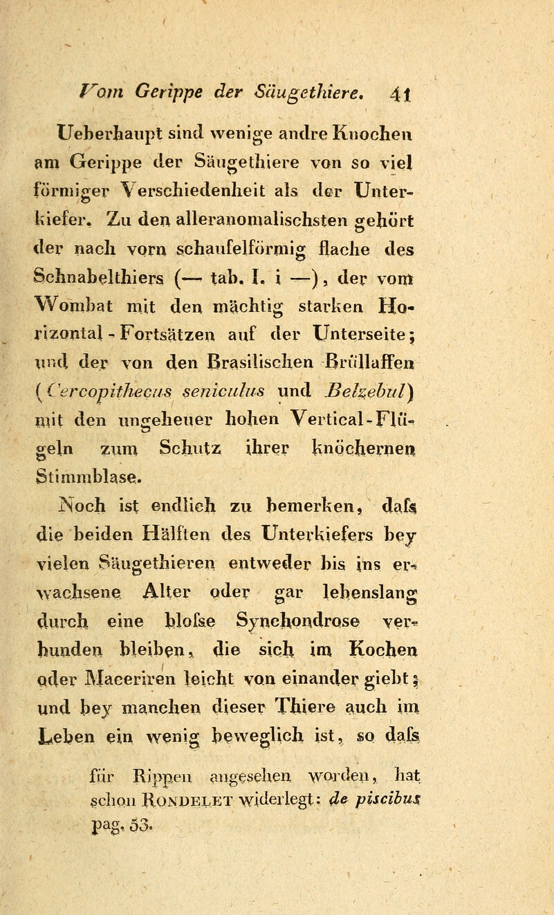 Ueberhaiipl sind wenige andre Knochen am Gerippe der Säugethiere von so viel förmiger Verschiedenheit als der Unter- kiefer. Zu den alleranomalischsten gehört der nach vorn schaufeiförmig flache des Schnabelthiers (— tab. I. i —), der vont Womhat mit den mächtig starken Ho- rizontal ^ Foi^ts'ätzen auf der Unterseite 5 \\m\ der von den Brasilischen Brüllaffen [Cercopithecus senicalus und Behehul) mit den ungeheuer hohen Vertical-FKi-' geln zum Schutz ihrer knqchernea Stimmblase. Noch ist endlich zu bemerken, dafj? die beiden Hälften des Unterkiefers bey vielen Säugethiereri entweder bis ins er-? »achsene Alter oder gar lebenslang durch eine hlof&e Syiichoiidrose yer* hundea bleiben, die sich im Kochen oder Maceriren leicht von einander giebt; und bey manchen dieser Thiere auch im Leben ein wenig beweglich ist, so dafs für Rippen angesehen worden, hat ^cliQu RoNDELET widerlegt; d^ piscibus pag, 53.