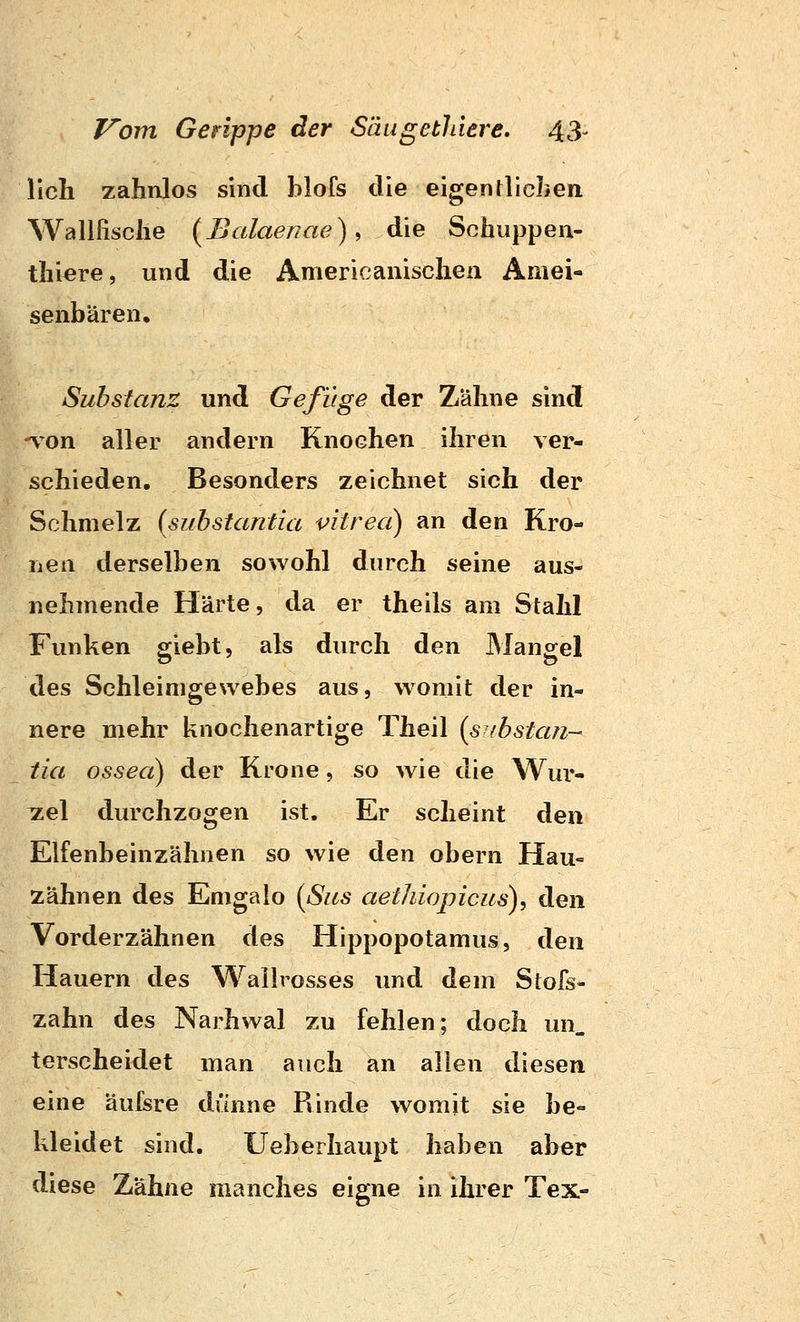 lieh zahnlos sind blofs die eigentlichen Walllische (Balae/iae) ^ die Schuppen- thiere, und die Americanischea Amei- senbären, Substanz und Gefüge der Z'ähne sind -von aller andern Knochen ihren ver- schieden. Besonders zeichnet sich der Schmelz (suhstantia vitreci) an den Kro- nen derselben sowohl durch seine aus- nehmende Härte, da er theils am Stahl Funken giebt, als durch den Mangel des Schleimgewebes aus, womit der in- nere mehr knochenartige Theil (suhstan- tia osseci) der Krone, so wie die Wur- zel durchzogen ist. Er scheint den Elfenbeinzähnen so wie den obern Hau- zähnen des Emgalo {ßus aethiopicus)^ den Vorderzähnen des Hippopotamus, den Hauern des Wailrosses und dem Stofs- zahn des Narhwal zu fehlen; doch un. terscheidet man auch an allen diesen eine äufsre dünne Rinde womit sie be- kleidet sind. Ueberhaupt haben aber diese Zähne manches eigne in ihrer Tex-