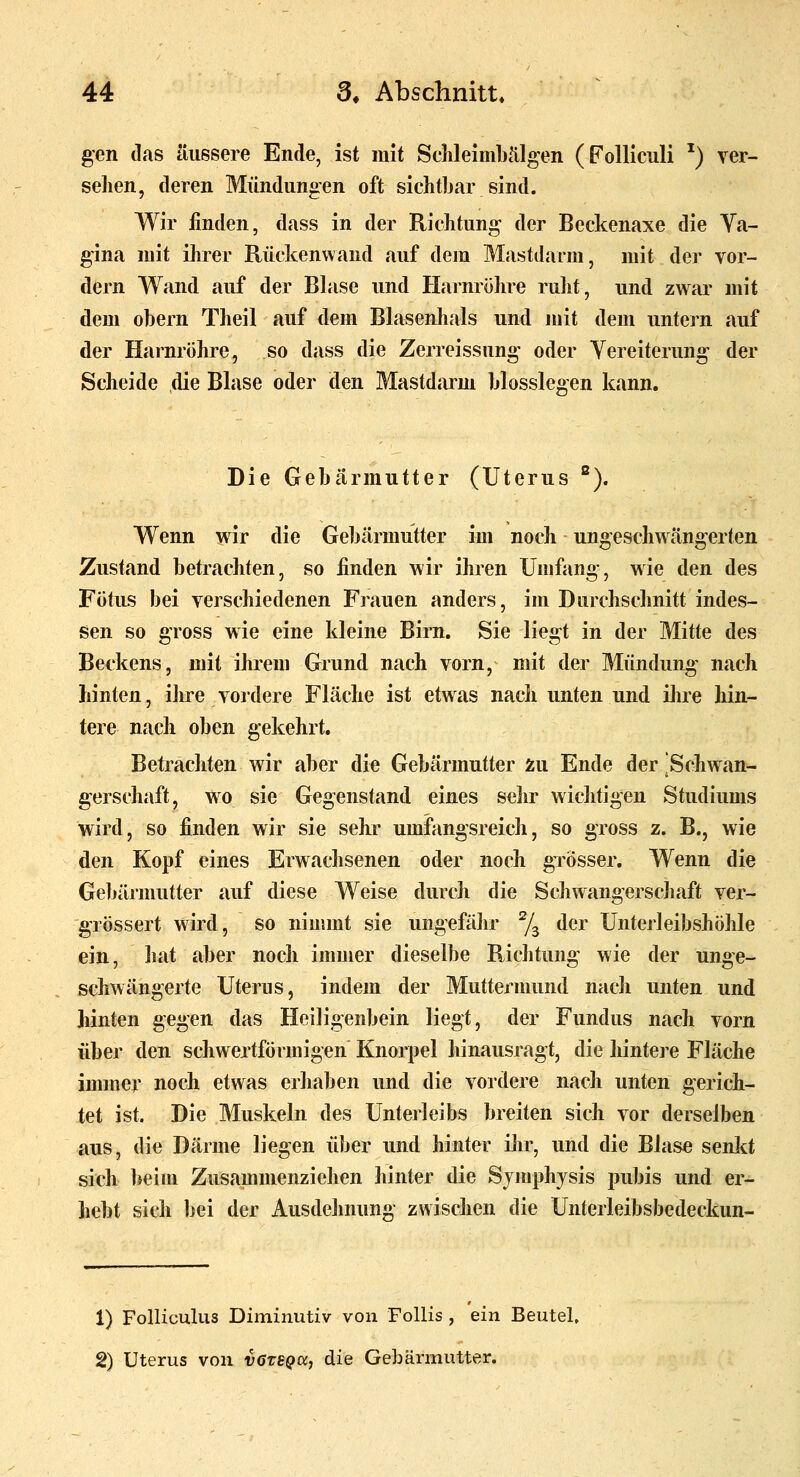 gen das äussere Ende, ist mit ScMeimbälgen (Folliculi ^) ver- sehen, deren Mündungen oft sichtbar sind. Wir finden, dass in der Richtung- der Beckenaxe die Va- gina mit ihrer Rückenwand auf dem Mastdarm, mit der vor- dem Wand auf der Blase und Harnröhre rulit, und zwar mit dem obern Theil auf dem Blasenhals und mit dem untern auf der Harnröhre, so dass die Zerreissung- oder Vereiterung der Scheide die Blase oder den Mastdarm biossiegen kann. Die Gebärmutter (Uterus °). Wenn wir die Gebärmutter im noch ungeschwängerten Zustand betrachten, so finden wir ihren Umfang, wie den des Fötus bei verschiedenen Frauen anders, im Durchschnitt indes- sen so gross wie eine kleine Birn. Sie liegt in der Mitte des Beckens, mit ihrem Grund nach vorn, mit der Mündung nach hinten, ihre vordere Fläche ist etwas nach unten und ilire hin- tere nach oben gekehrt. Betrachten wir aber die Gebärmutter zu Ende der ^Schwan- gerschaft, wo sie Gegenstand eines selir wichtigen Studiums wird, so finden wir sie seKr umfangsreich, so gross z. B., wie den Kopf eines Erwachsenen oder noch grösser. Wenn die Gebärmutter auf diese Weise durch die Schwangerschaft ver- grössert wird, so nimmt sie ungefähr ^/^ der Unterleibshöhle ein, hat aber noch immer dieselbe Riditung wie der unge- schwängerte Uterus, indem der Mutternmnd nach unten und hinten gegen das Heiligenbein liegt, der Fundus nach vorn über den schwertförmigen Knorpel hinausragt, die hintere Fläche immer noch etwas erhaben und die vordere nach unten gerich- tet ist. Die Muskeln des Unterleibs breiten sich vor derselben aus, die Därme liegen über und hinter ilir, und die Blase senlct sich beim Zusammenziehen hinter die Symphysis pubis und er- hebt sich bei der Ausdehnung zwischen die Unterleibsbedeckun- 1) FoUiculus Diminutiv von Follis , ein Beutel. 2) Uterus von vatSQcc, die Gebärmutter.