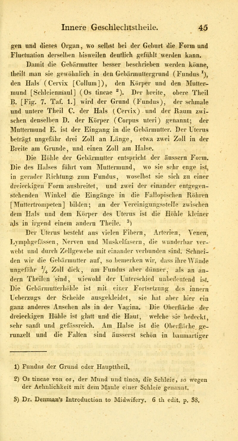 gen und dieses Organ, wo selbst bei der Geburt die Form und Fluc'tuation derselben bisweilen deutlich gefühlt werden kann. Damit die Gebärmutter besser beschrieben werden könne, tlieiit man sie gewöhnlich in den Gebärmuttergrund (Fundus ^), den Hals (Ceryix [Collum]), den Körper und den Mutter- mund [Schleienniaul] (Os tincae ^). Der breite, obere Theil B. [Fig. 7. Taf. 1.] wird der Grund (Fundus), der schmale und untere Theil C. der Hals (Cervix) imd der Raum zwi- schen denselben D. der Körper (Corpus uteri) genannt-, der Muttermund E. ist der Eingang in die Gebärmutter. Der Uterus beti'ägt ungefähr drei Zoll an Länge, etwa zwei Zoll in der Breite am Grunde, und einen Zoll am Halse. Die Höhle der Gebärmutter entspricht der äussern Form. Die des Halses führt vom Muttermund, wo sie sehr enge ist, in gerader Richtung zum Fundus, woselbst sie sich zu einer dreieckigen Form ausbreitet, und zwei der einander entgegen- stehenden Winkel die Eingänge in die Fallopischen Röhren [Miitterti'ompeten] bilden; an der Yereinigungsstelle zwischen dem Hals und dem Körper des Uterus ist die Höhle kleiner ids in irgend einem andern Theile. ^) Der Ütenis besteht aus vielen Fibern, Arterien, Yenen, Lymphgefässen, Nerven und Muskelfasern, die \\iinderbar ver- webt und diu'ch Zellgewebe mit einander verbunden sind. Schnei- den wir die Gebärmutter airf, so bemerken wir, dass üireATämle ungefähr Y^ Zoll dick, am Fundus aber dünner, als an an- dern Theilen sind, wiewohl der Unterschied unbedeutend ist. Die Gebärmutterhöhle ist mit einer Fortsetzung des innern Ueberzugs der Scheide ausgekleidet, sie hat aber hier ein ganz anderes Ansehen als in der Vagina. Die Obei-fläche der dreieckigen Höhle ist glatt und die Haut, welche sie bedeckt, sehr sanft und gefässreich. Am Halse ist die ObeilhUhe, ge- runzelt und die Falten sind äusserst schön in baumarti''er 1) Fundus der Grund oder Haupttheil. 2) Os tincae von os, der Mund und tinca, die Schleie, so wegen der Aelmlichkeit mit dem Maule einer Schleie genannt, S) Dr. Deimian's Iiitroduction to Midwifery. 6 th edit. p. 38.