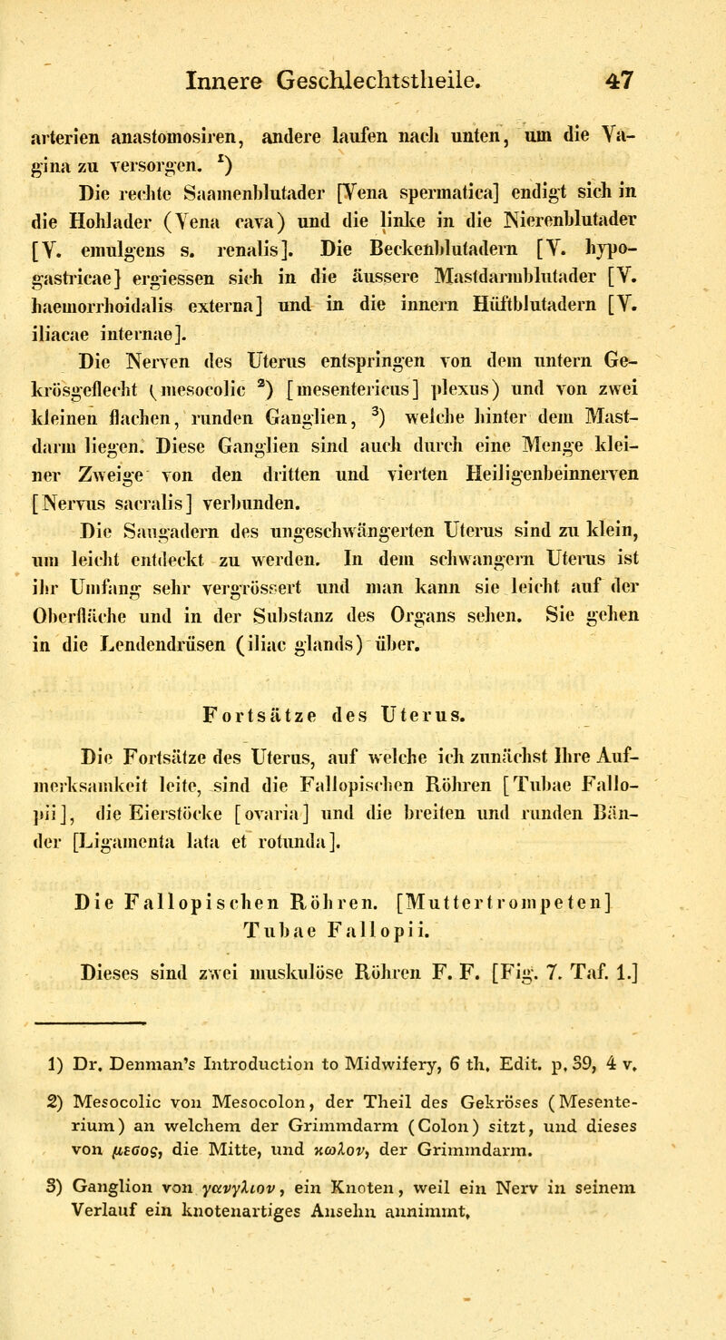 arterien anastomosiren, andere laufen nacli unten, um die Va- gina zu versorgen. ^) Die rechte Saamenblutader [Vena spermatica] endigt sich in die Hohlader (Vena cava) und die linke in die Nierenhlutader [V. emulgens s. renalis]. Die Beckenhlutadern [V. hjpo- gasti-icae] ergiessen sieh in die äussere Mastdarmblutader [V. haemorrhoidalis externa] und in die innern Hüi'tblutadern [V. iliacae internae]. Die Nerven des Uterus entspringen von dem untern Ge- krösgelleeht i^mesocolic ®) [ mesentericus ] plexus) und von zwei kleinen flachen, runden Ganglien, ^) welche hinter dem Mast- darm liegen. Diese Ganglien sind auch durch eine Menge klei- ner Zweige von den dritten und vierten Heiligenbeinnerven [Nervus sacralis] verbunden. Die Saugadern des ungeschwängerten Uterus sind zu klein, um leicht entdeckt zu werden. In dem schwangern Uterus ist ihr Umfang sehr vergrös^ert und man kann sie leicht auf der Oberfläche und in der Substanz des Organs sehen. Sie gehen in die Lendendrüsen (iliac giands) über. Fortsätze des Uterus. Die Fortsätze des Uterus, auf welche ich zunächst Ihre Auf- merksamkeit leite, sind die Fallopischen Röhren [Tubae Fallo- pii], die Eierstöcke [Ovaria] und die breiten und runden Bän- der [Ligamenta lata et rotunda]. Die Fallopischen Röhren. [Muttertrompeten] Tubae Fallopii. Dieses sind zwei muskulöse Röhren F. F. [Fig. 1, Taf. 1.] 1) Dr. Dennian's Introduction to Midwifery, 6 th, Edit. p, S9, 4 v. 2) Mesocolic von Mesocolon, der Theil des Gekröses (Mesente- rium) an welchem der Grimmdarm (Colon) sitzt, und dieses von (xsaogf die Mitte, und naXoVi der Grimmdarm. 3) Ganglion von yccvylLOV, ein Knoten, weil ein Nerv in seinem Verlauf ein knotenartiges Anseliu annimmt,